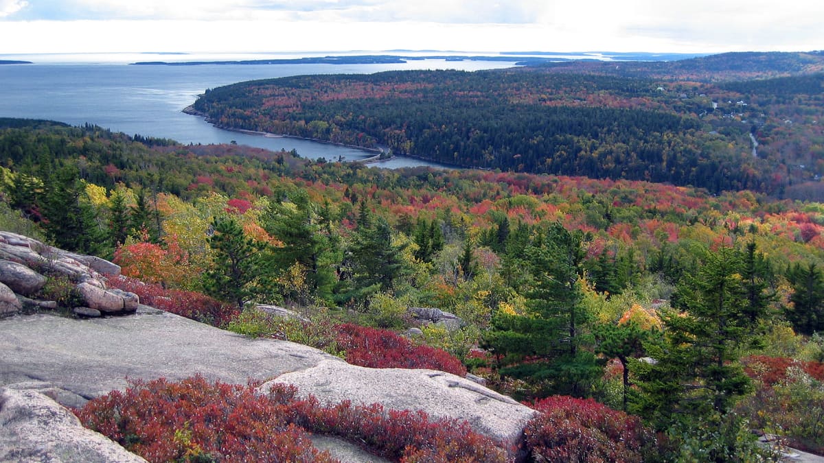 The Best Autumn Leaves and Fall Foliage Tours in America
