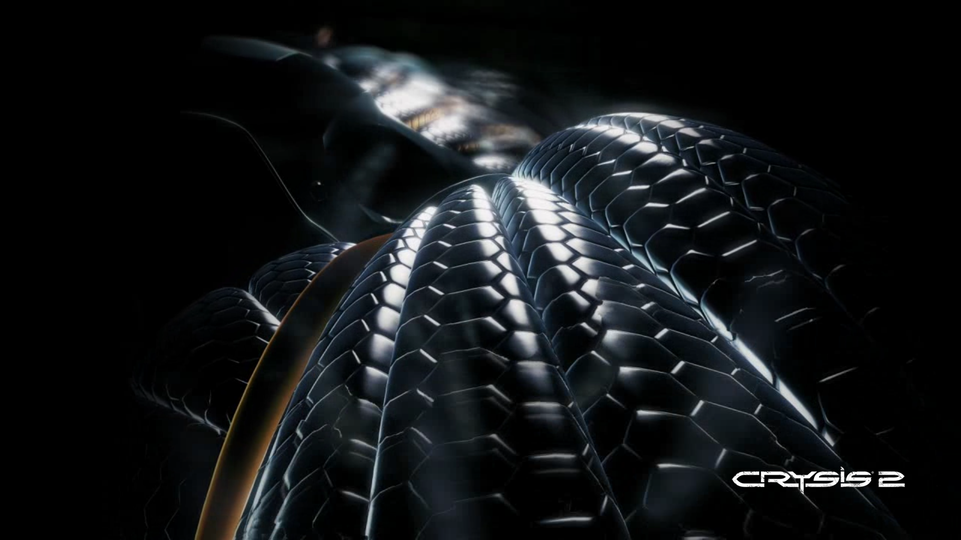 Free download Crysis 2 Wallpaper Nanosuit Standing WallpaperCowcom [1920x1080] for your Desktop, Mobile & Tablet. Explore Crysis Wallpaper. Crysis 3 Wallpaper 1920x1080, Crysis 3 HD Wallpaper