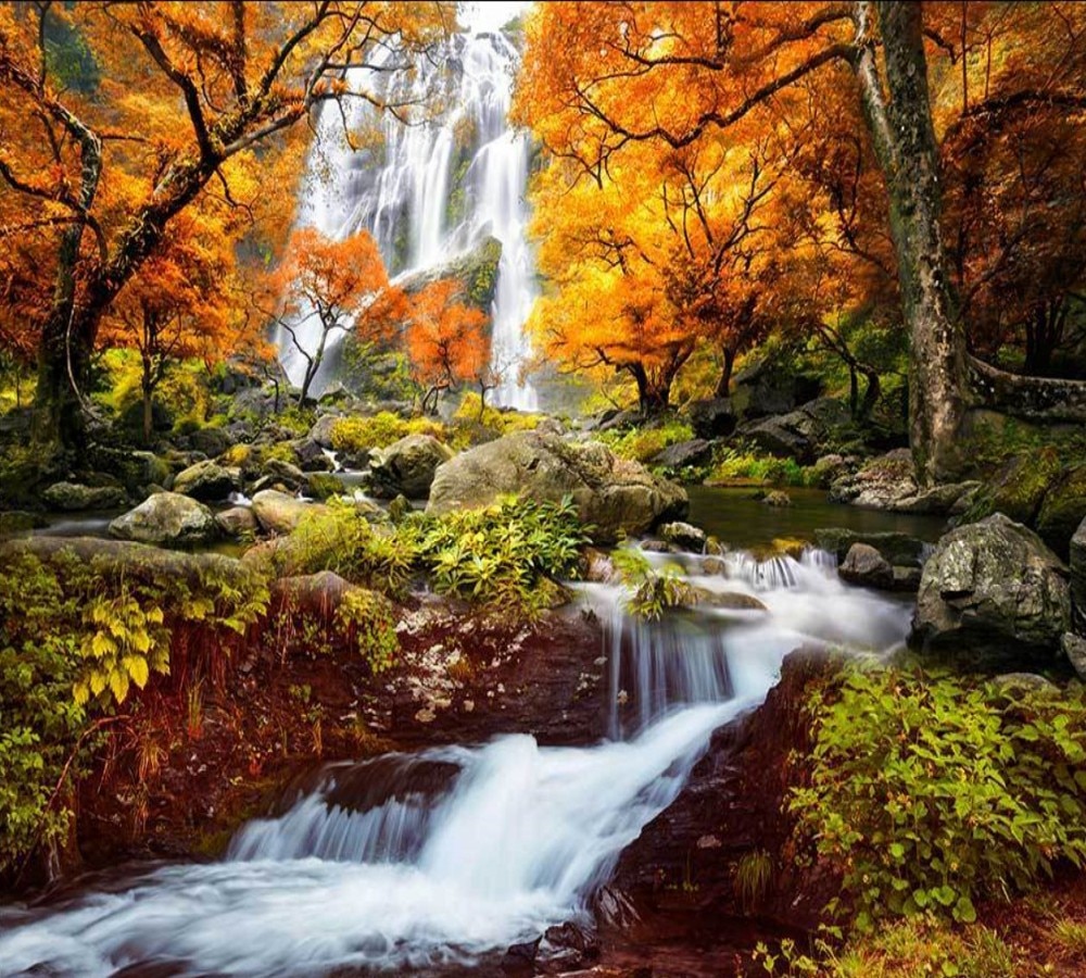 Autumn Jungle Wallpapers - Wallpaper Cave