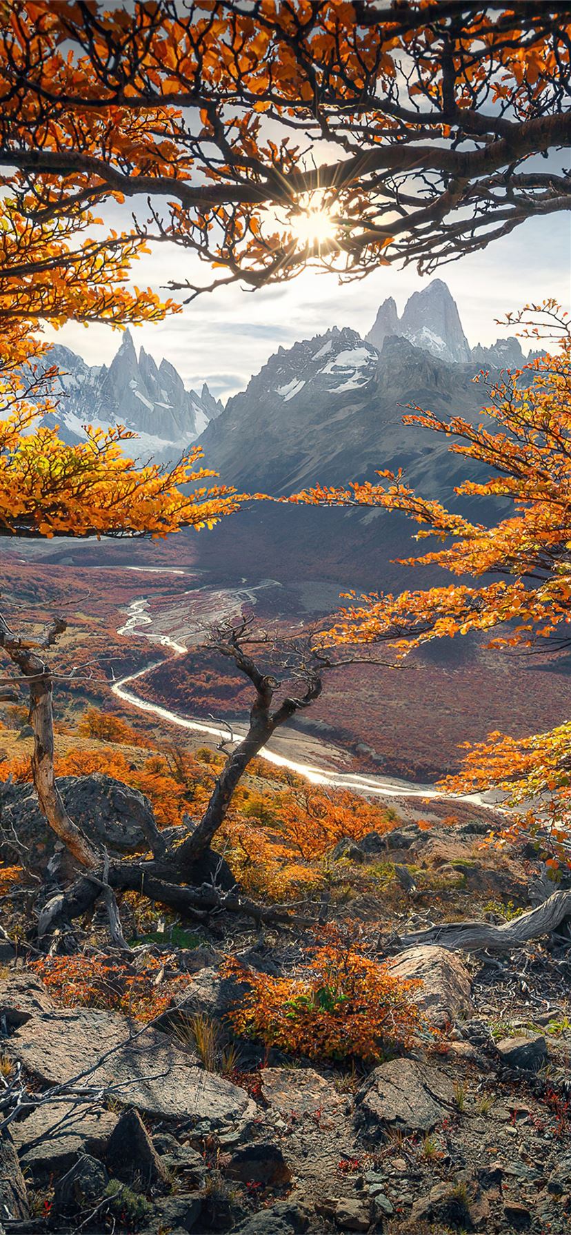 beautiful autumn colours in patagonia 4k iPhone 11 Wallpaper Free Download