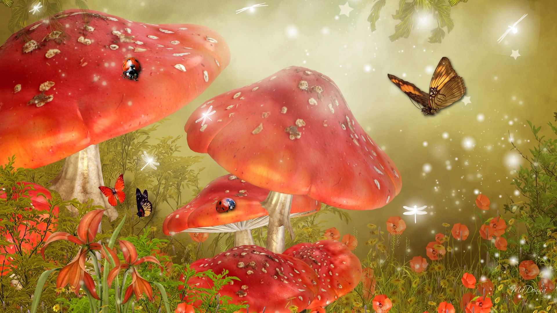 mystical mushrooms. Mushroom wallpaper, Fairy wallpaper, Butterfly wallpaper