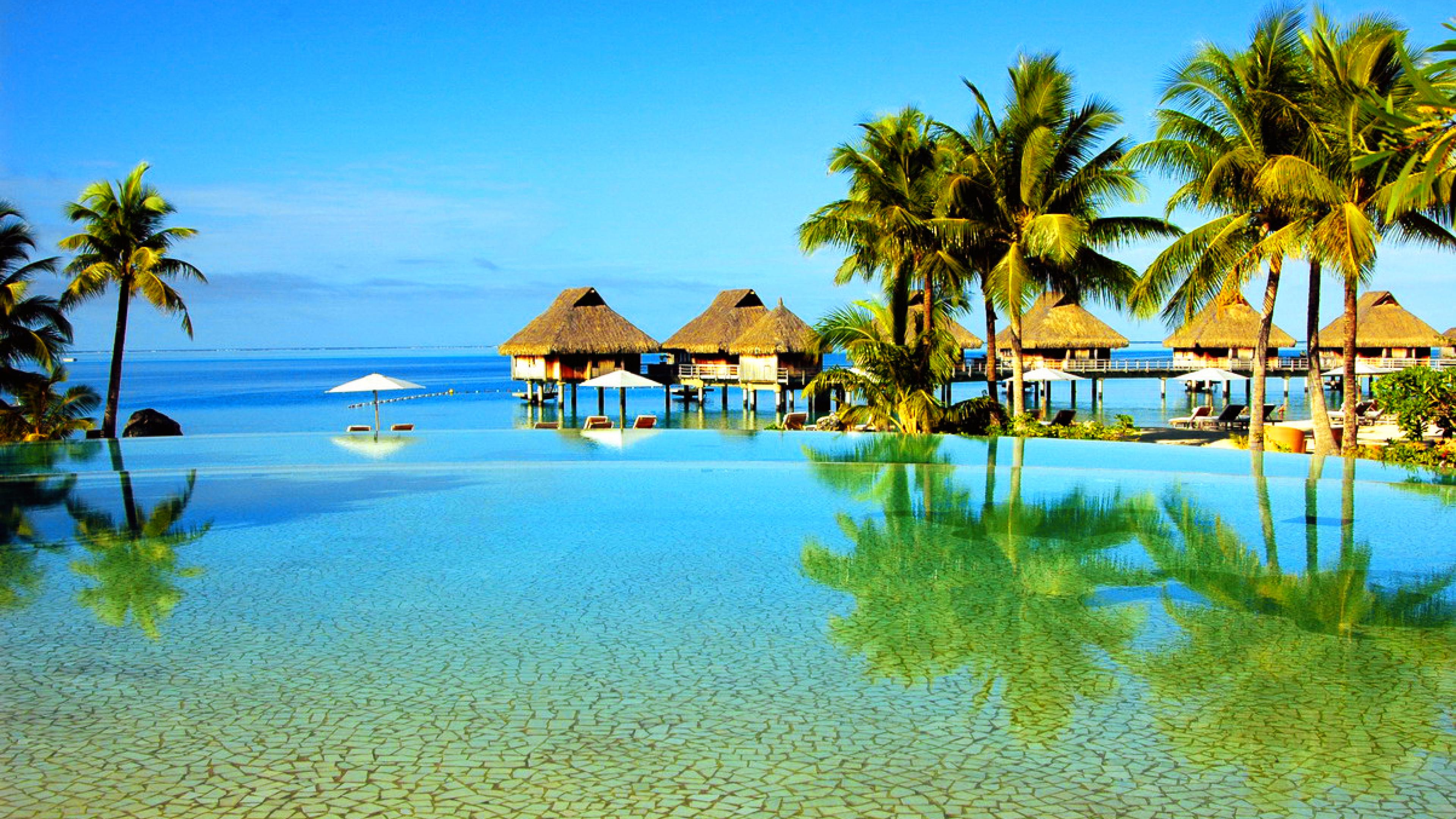 Exotic Island Palm Trees Sand Beach ocean turquoise water photo Wallpapers  Hd 3840x2400 : Wallpapers13.com