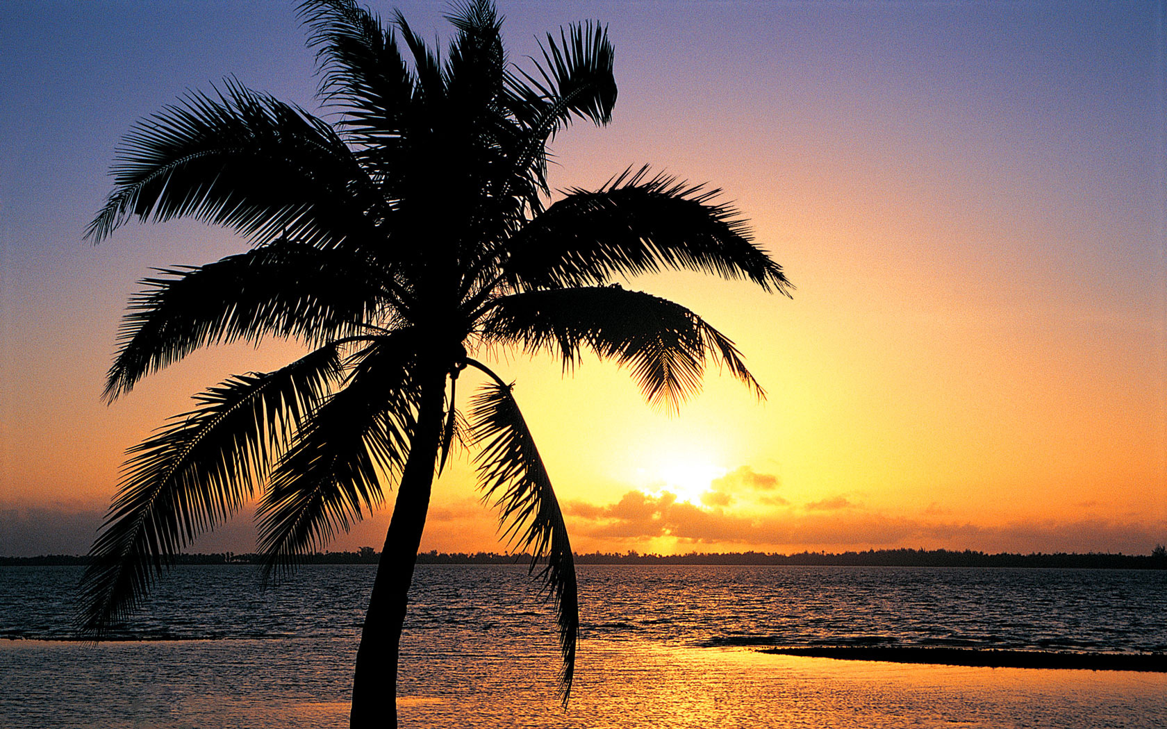 Orange sunset on the tropic beach background