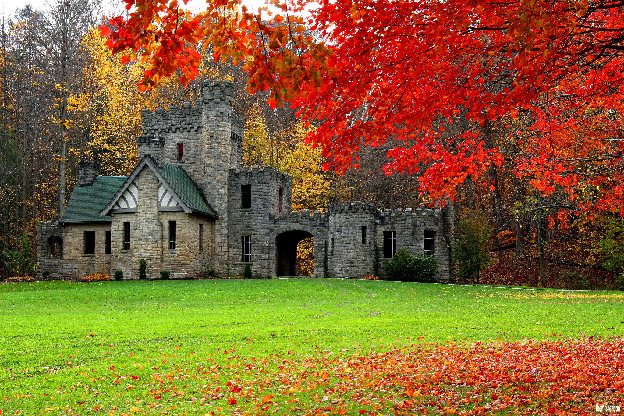 Castle in Autumn HD Wallpaper