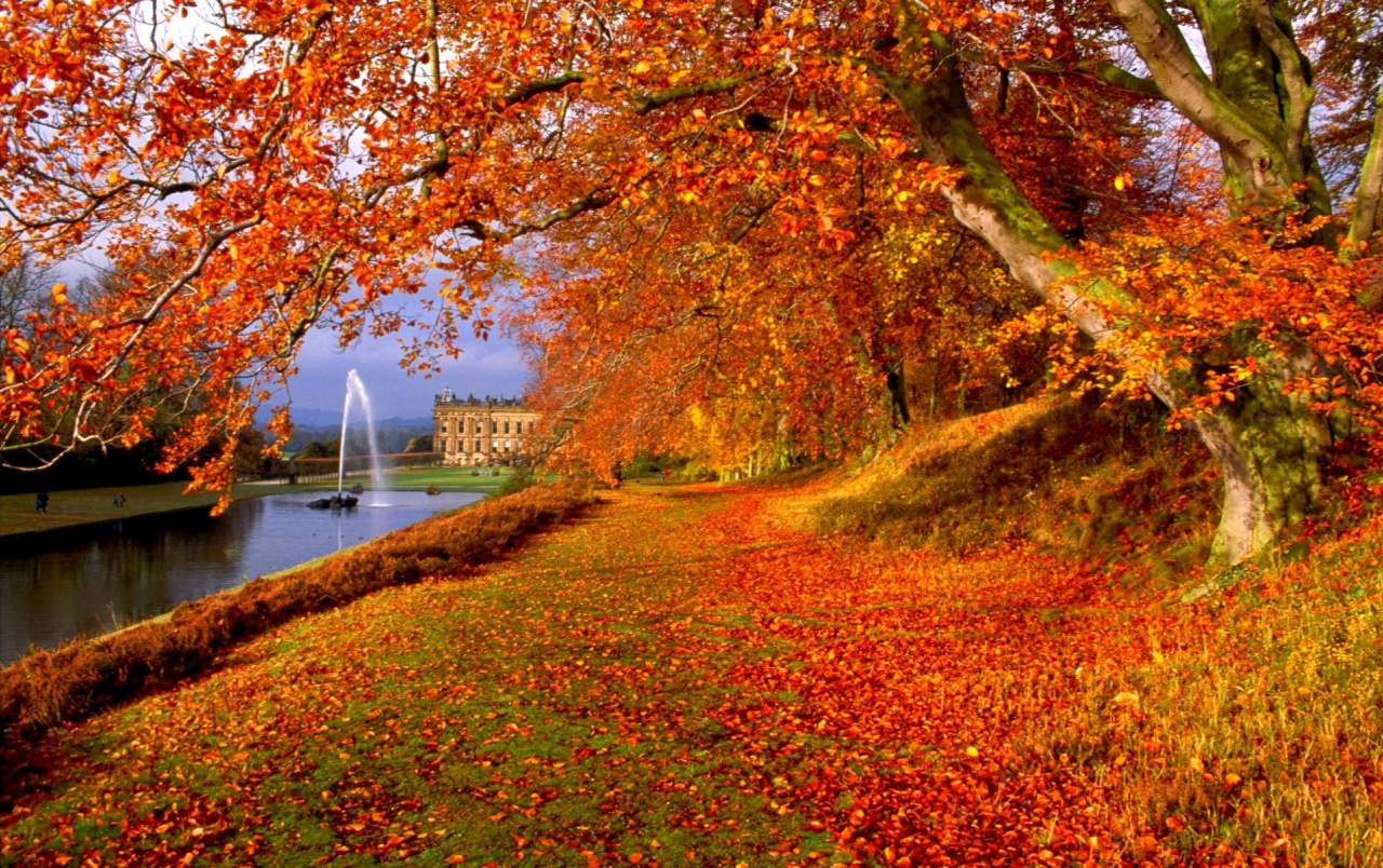 Orange Autumn Fountain Castle wallpaper. Orange Autumn Fountain Castle