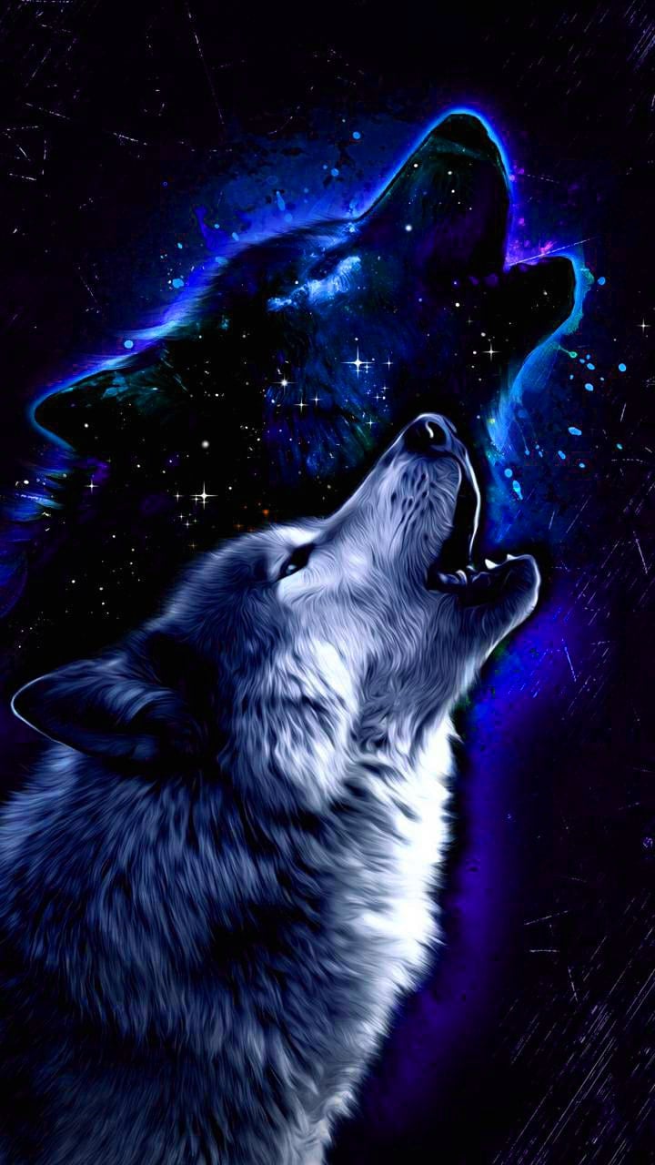 Really Cool Wolf Wallpapers - Wallpaper