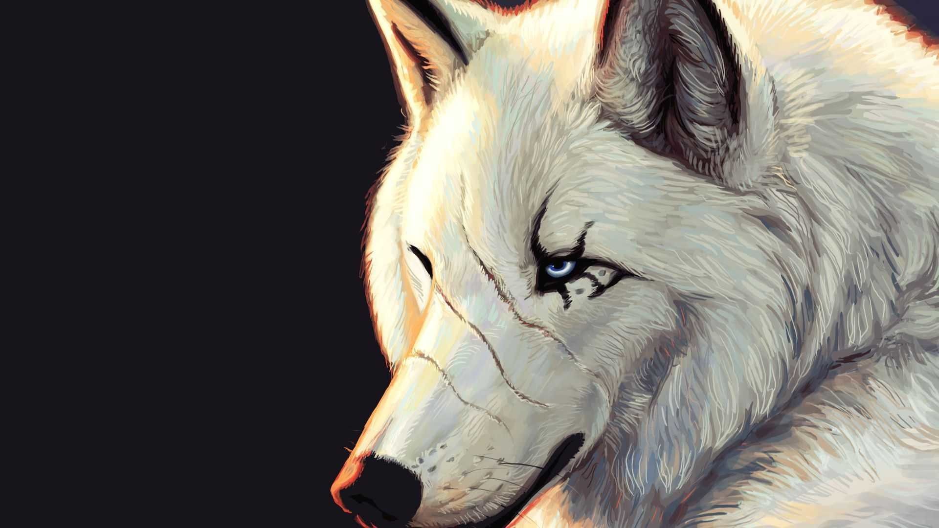 Awesome Wolf Wallpaper Free Awesome Wolf Background