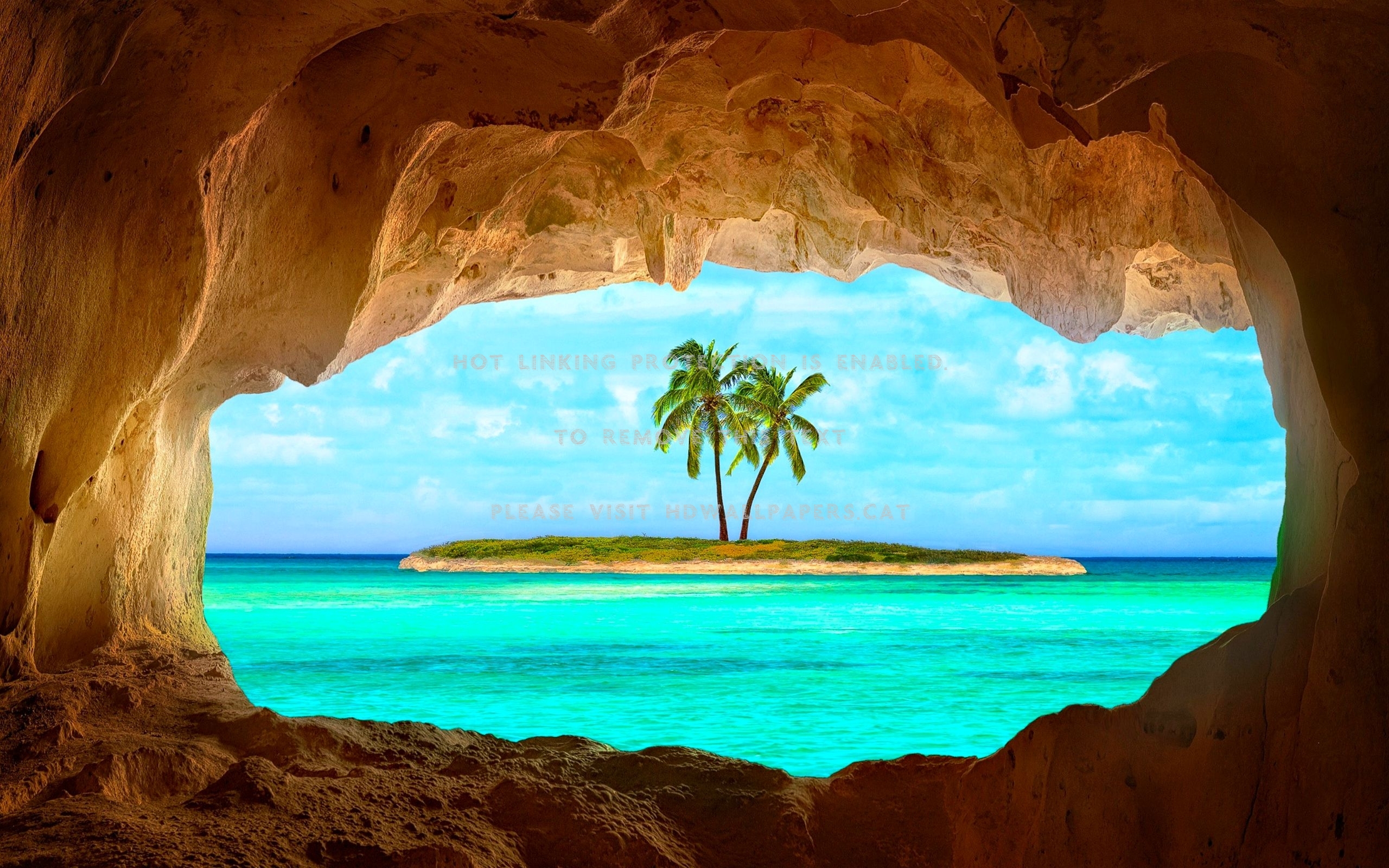 sea cave view of island nature palm tree