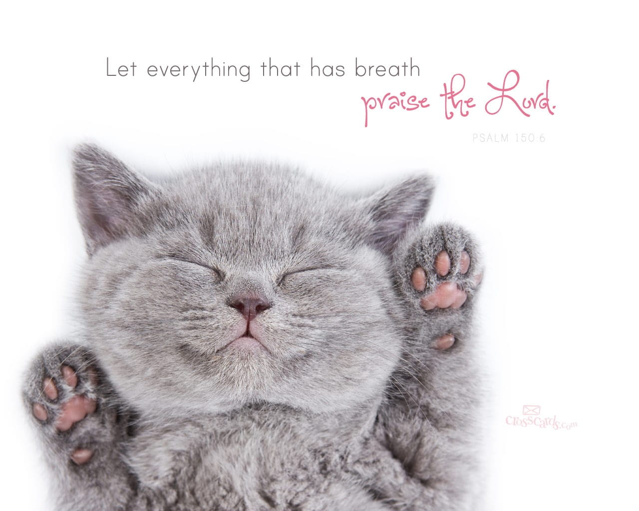 Praise the Lord Desktop Wallpaper Animals Background