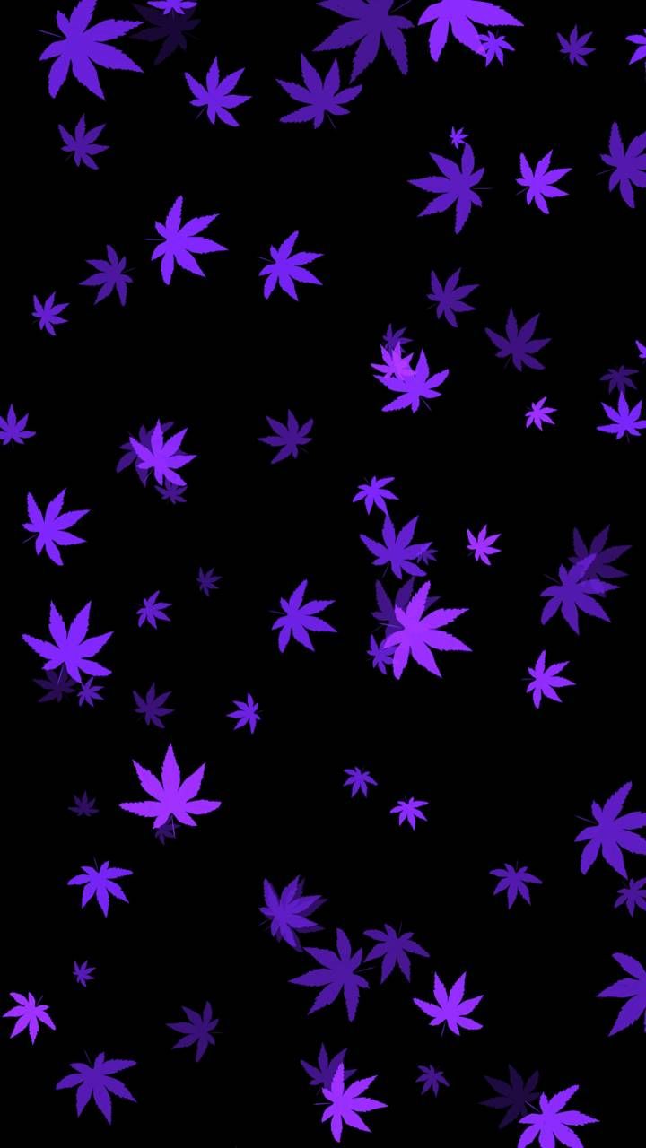 Download w**d purple wallpaper by Kor4 archive now. Browse m. Purple wallpaper, Purple wallpaper iphone, Cellphone wallpaper background
