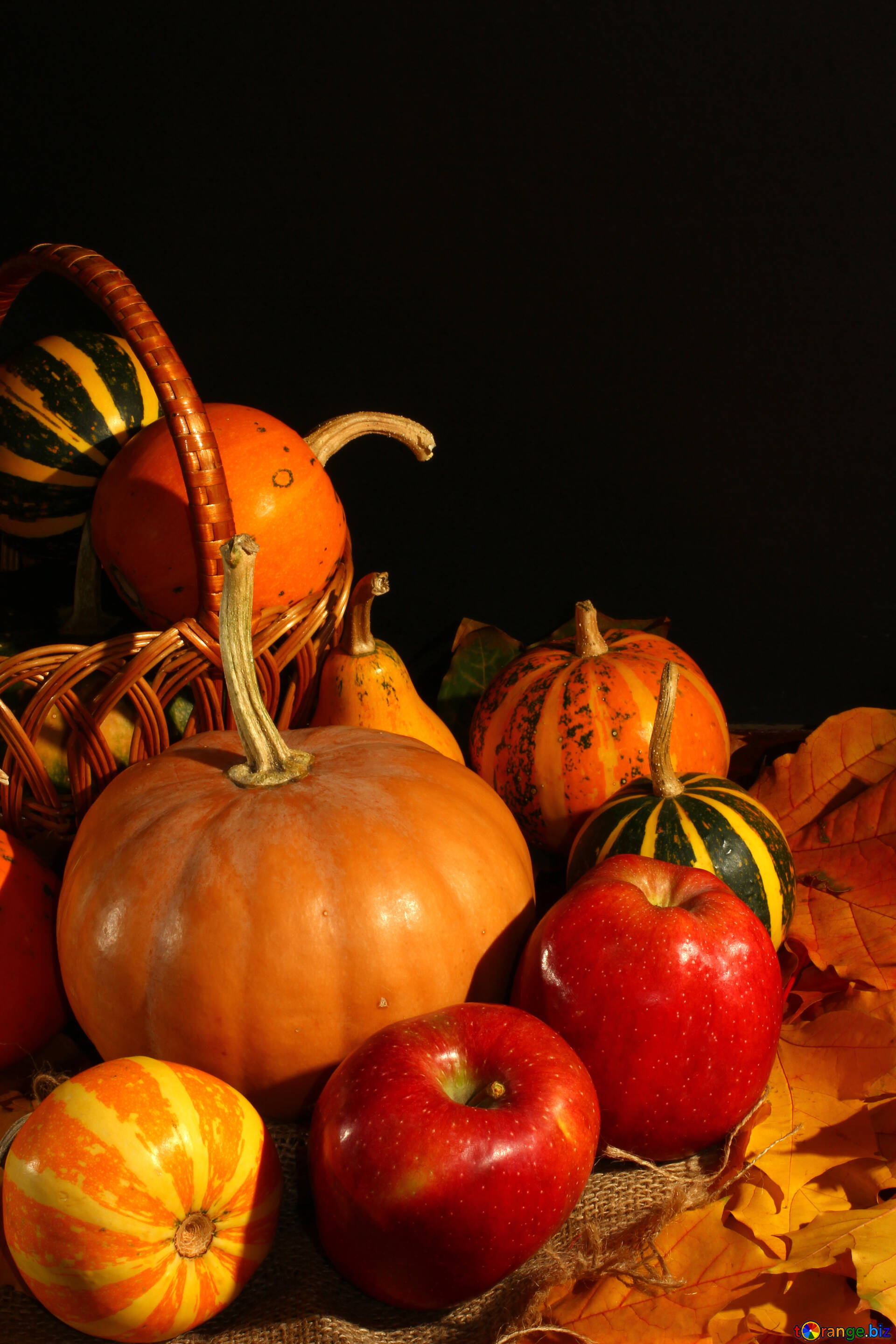 24++ Autumn Harvest Desktop Wallpaper