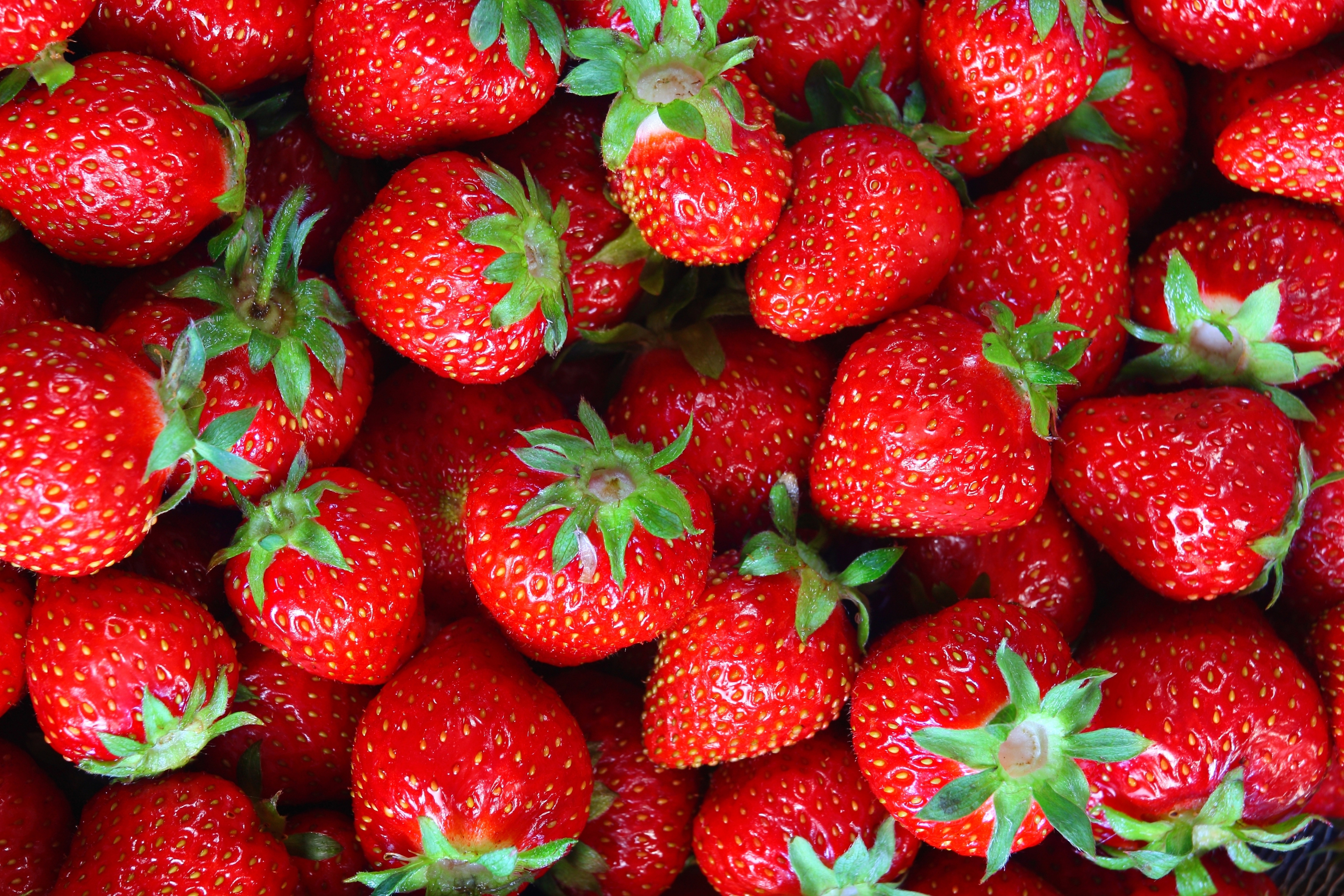 #Red, #Fruits, #Strawberries, K. Mocah HD Wallpaper