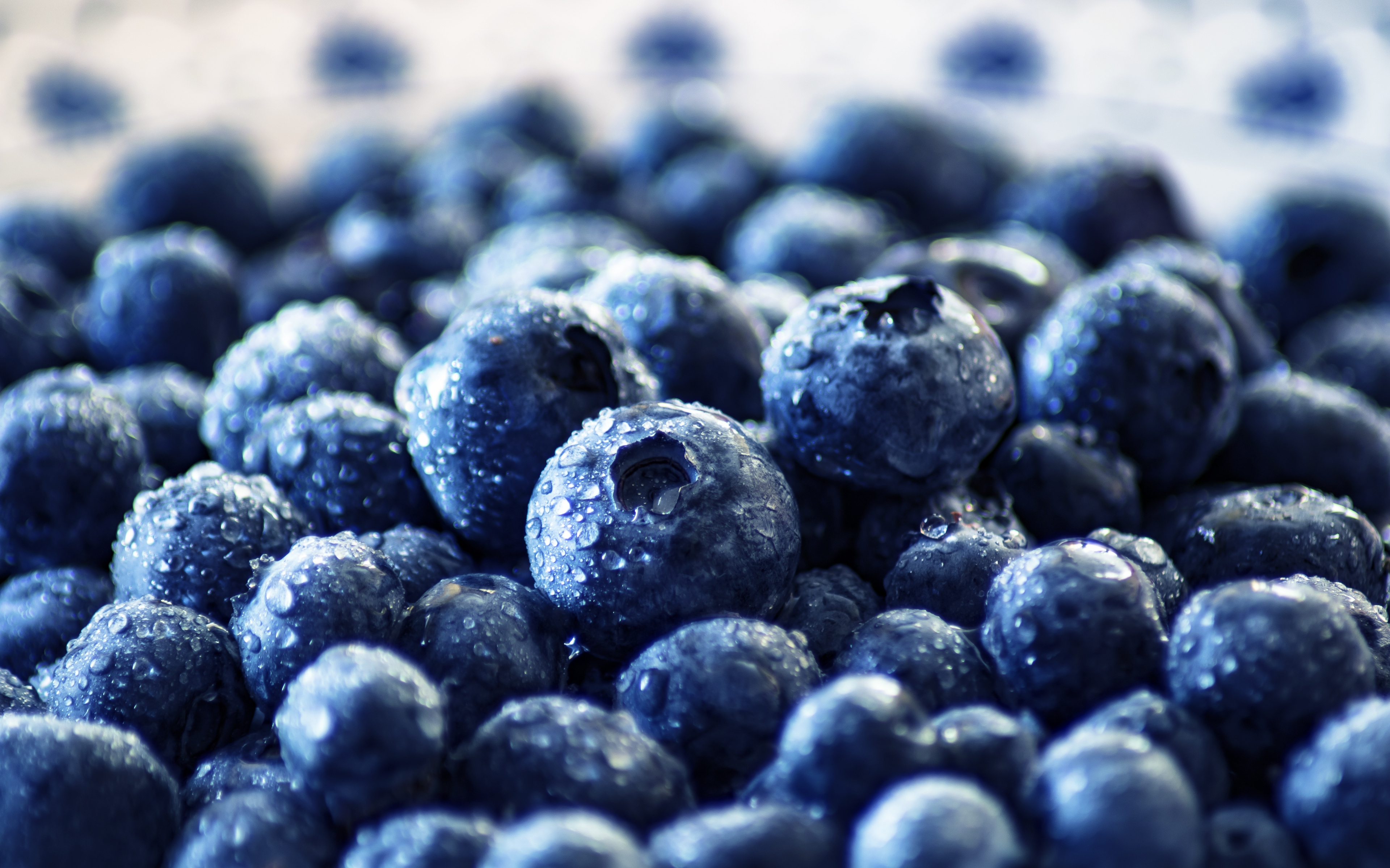 Download Blueberry, fresh, fruits, water drops, close up wallpaper, 3840x 4K Ultra HD 16: Widescreen