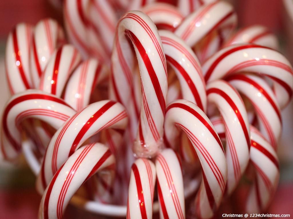 Best candy cane wallpaper ideas. candy cane, christmas candy cane, christmas candy