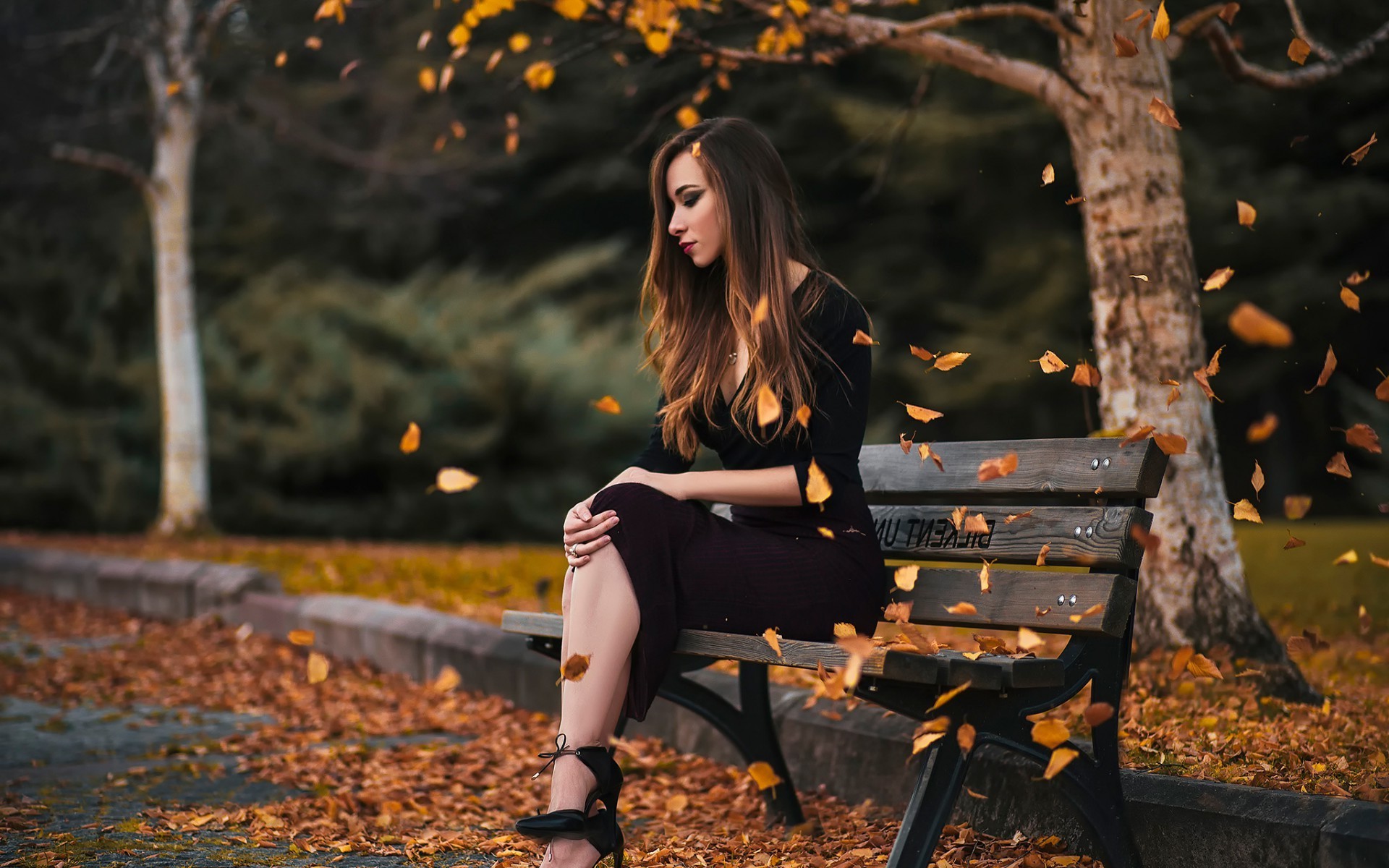 women, Long Hair, Women Outdoors, Sitting, Classy, Dress, Black Dress, Blonde, Leaves, Heels, Depth Of Field Wallpaper HD / Desktop and Mobile Background
