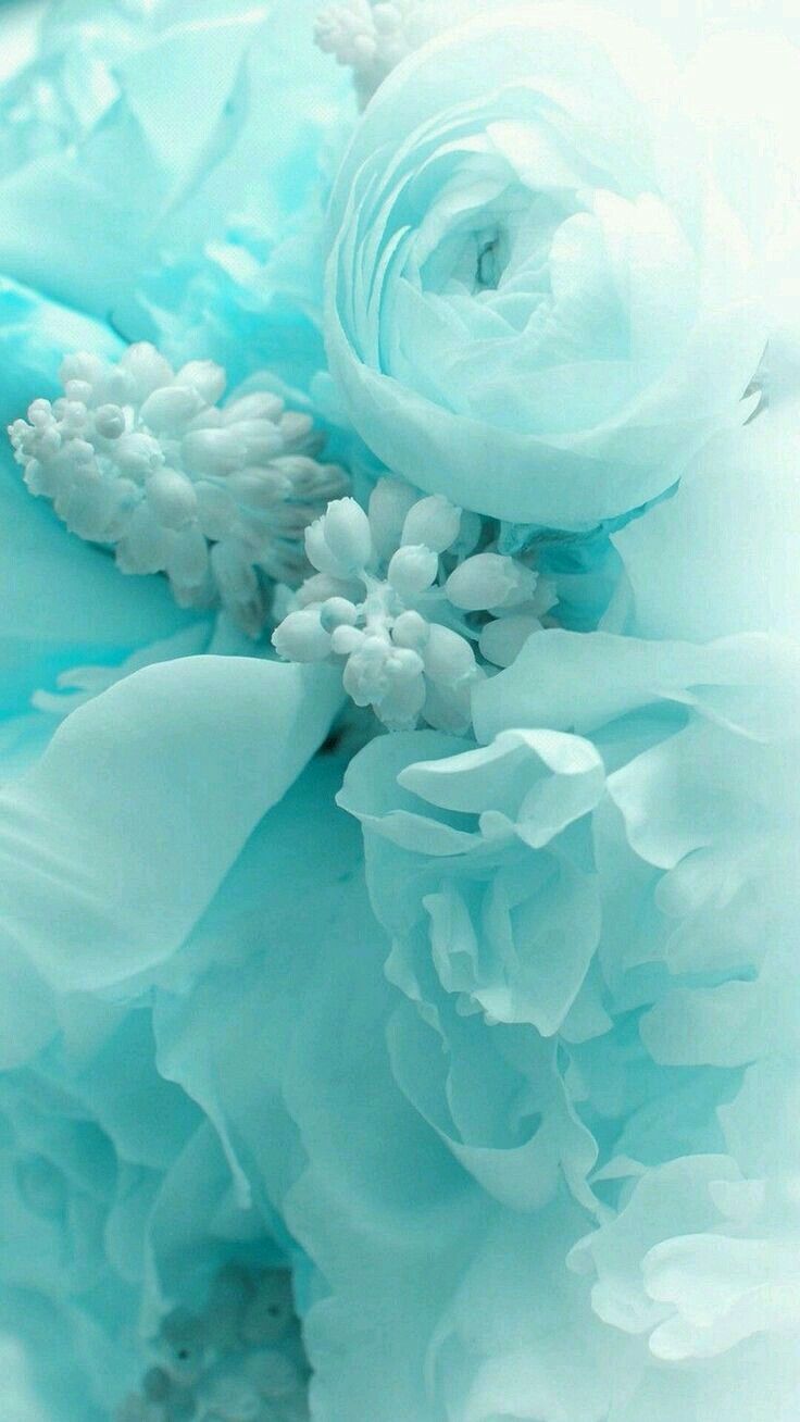 Turquoise Flower Wallpaper