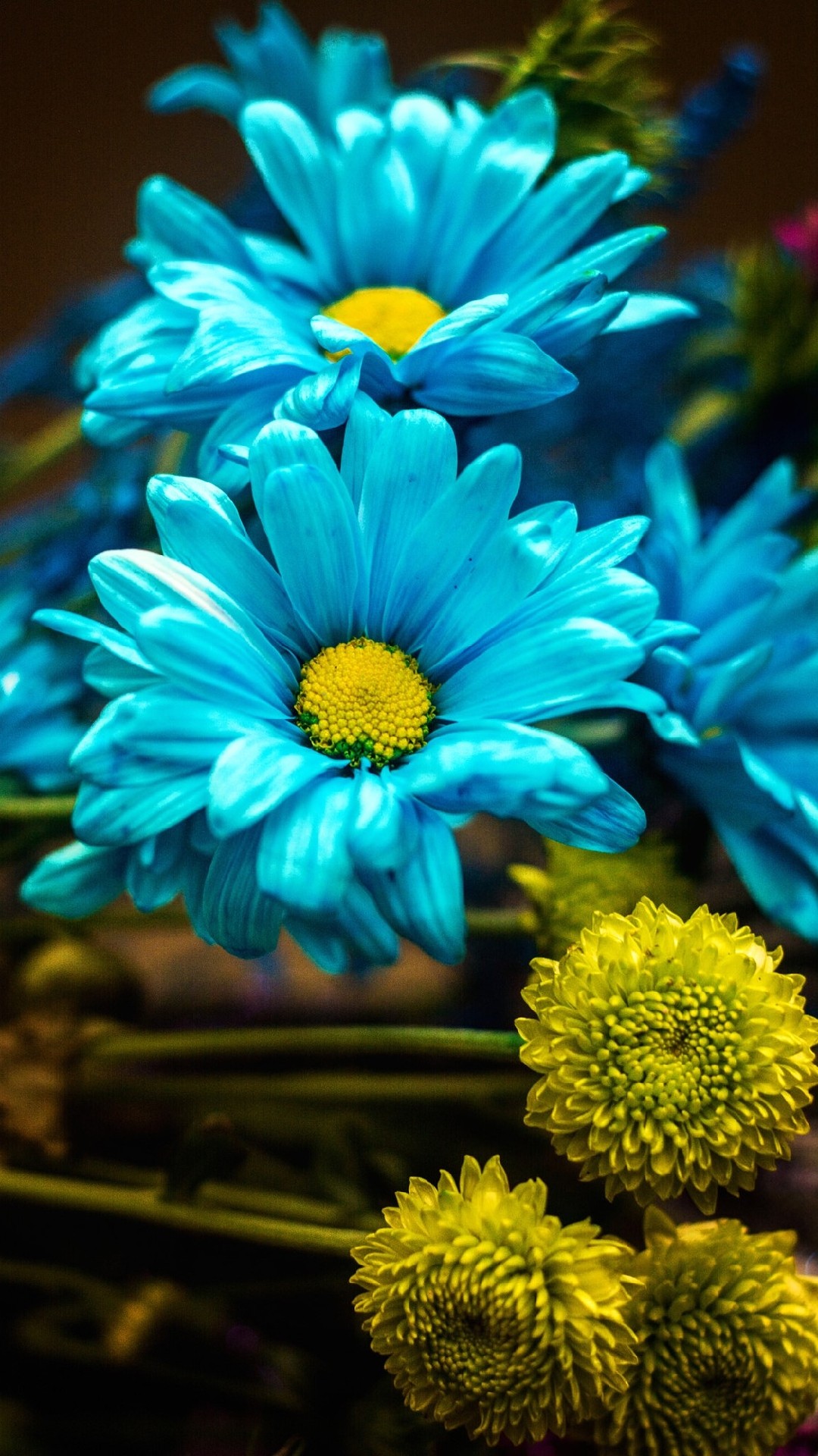 Blue Flowers Samsung Galaxy M01s HD Wallpaper Download