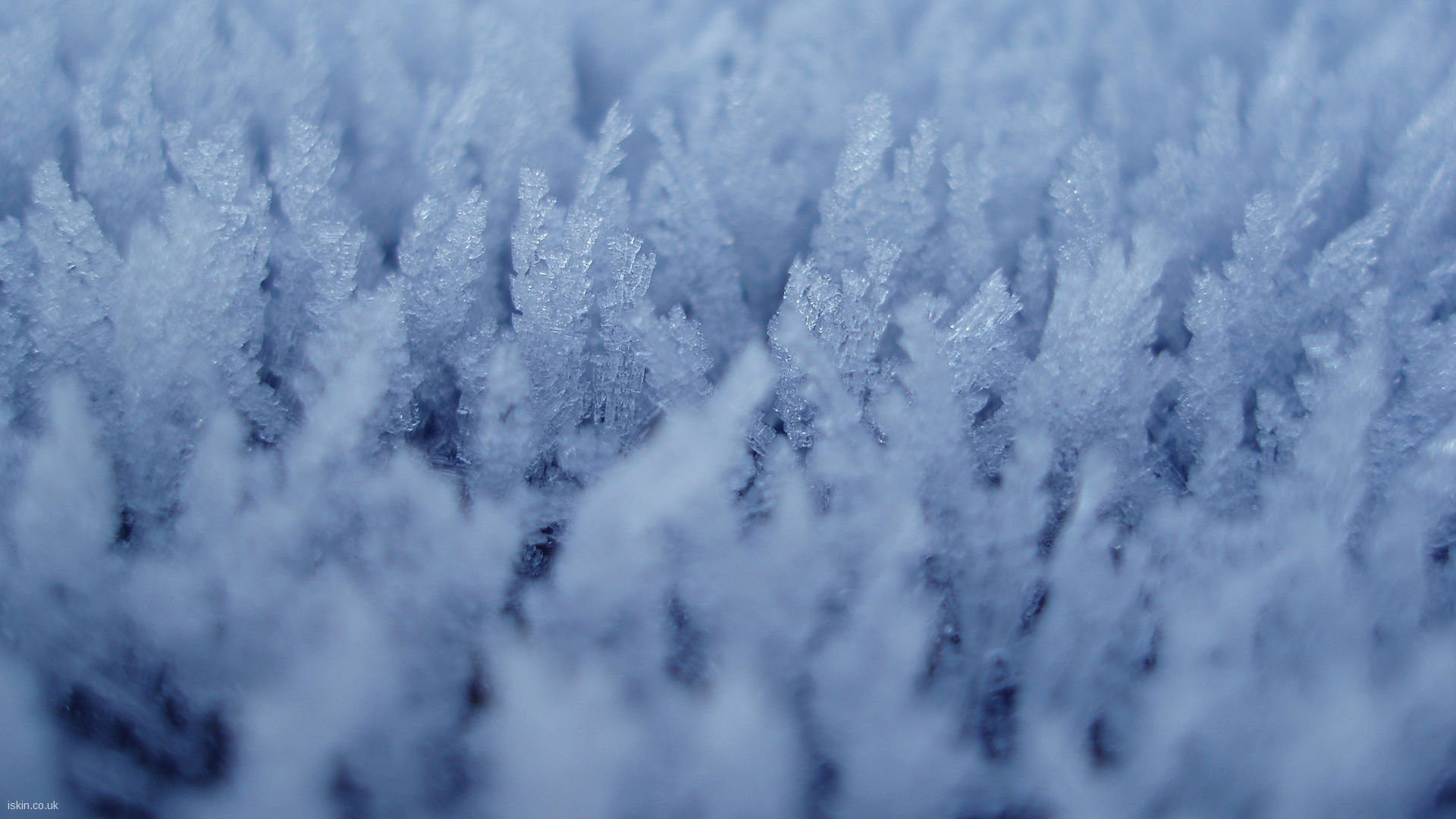 Ice Crystals Desktop Wallpaper