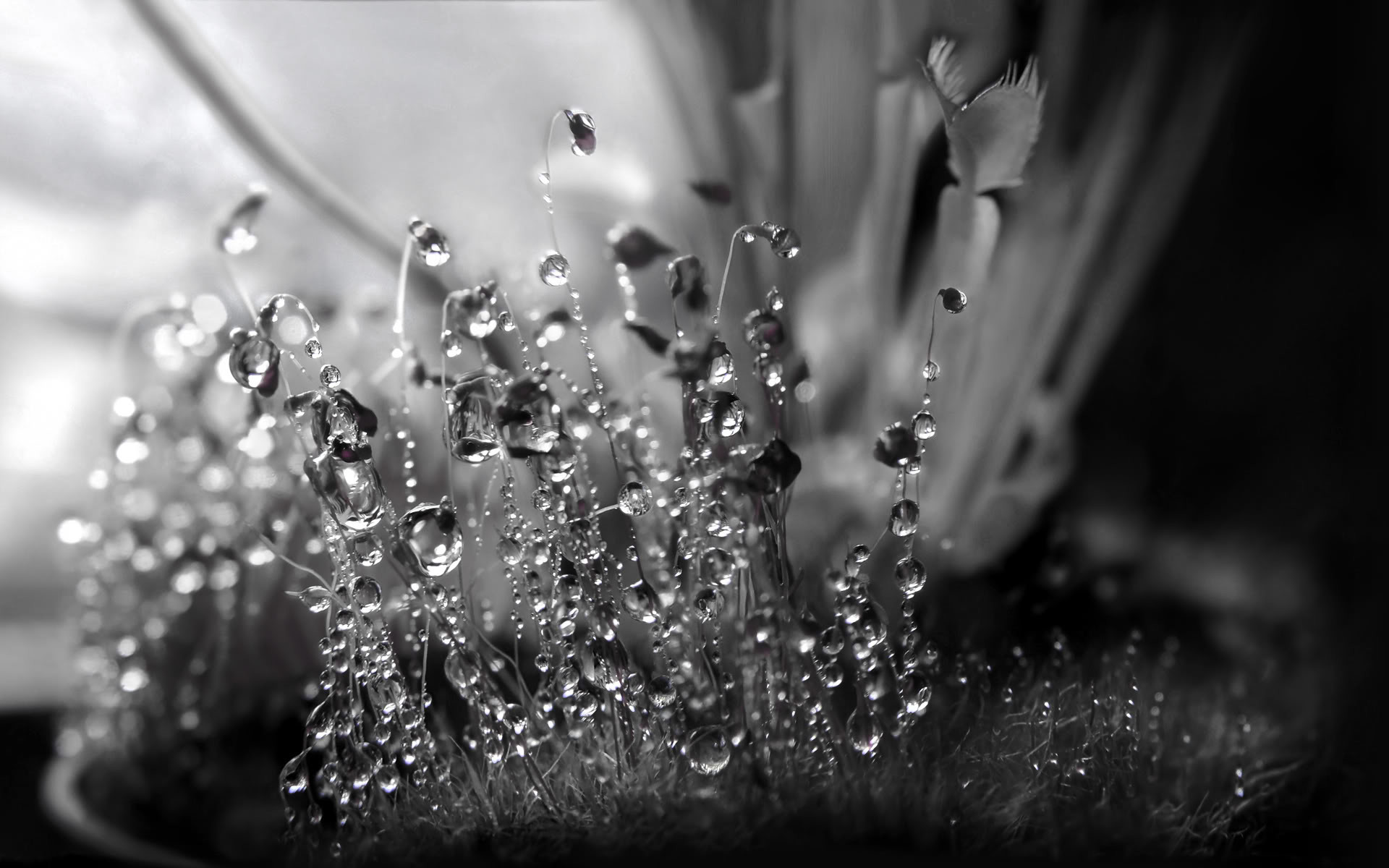 Crystal HD Wallpaper background picture