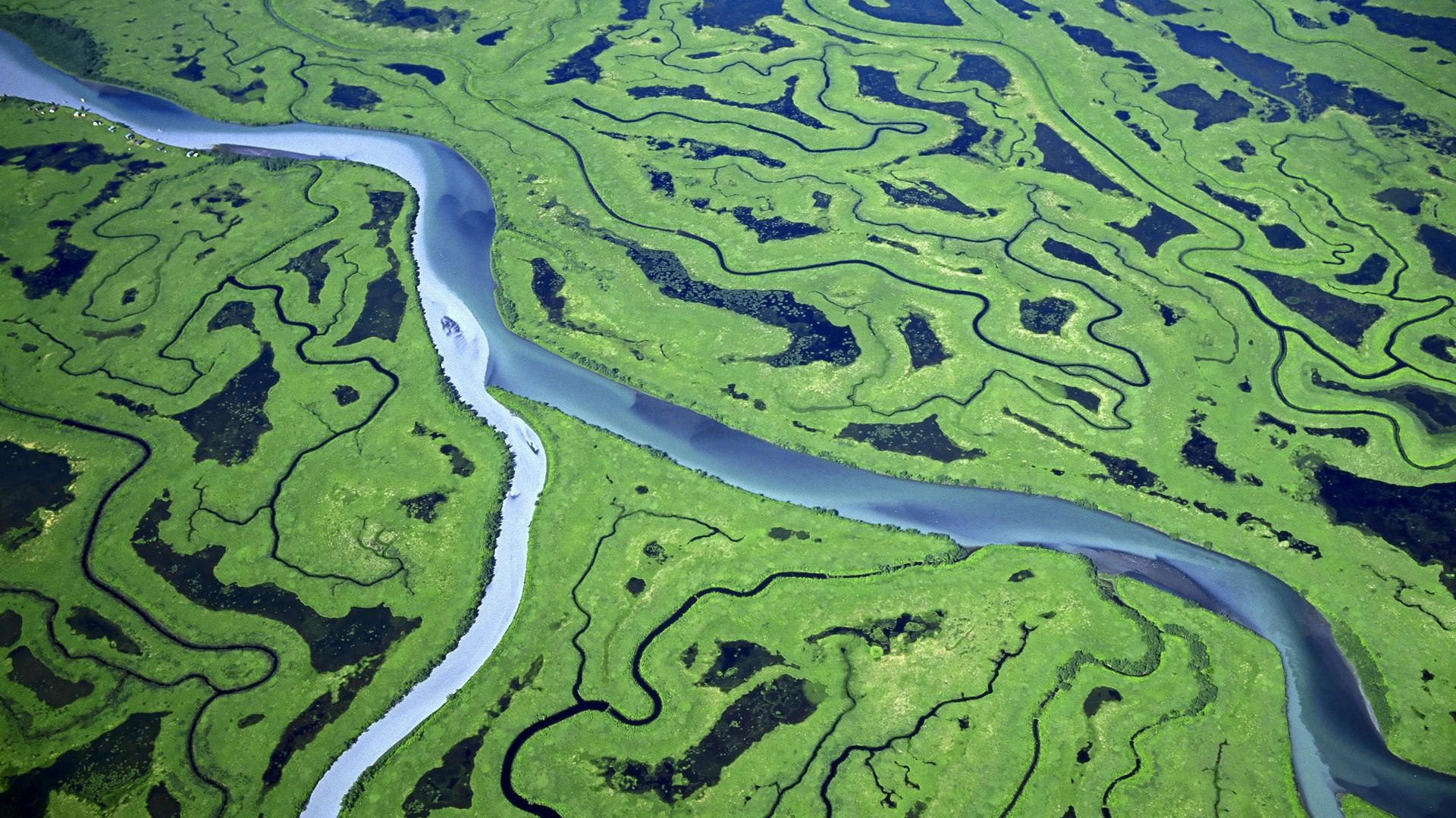 Aerial of the Copper River Delta Alaska wallpaper and. Bird eye view, River delta, Aerial