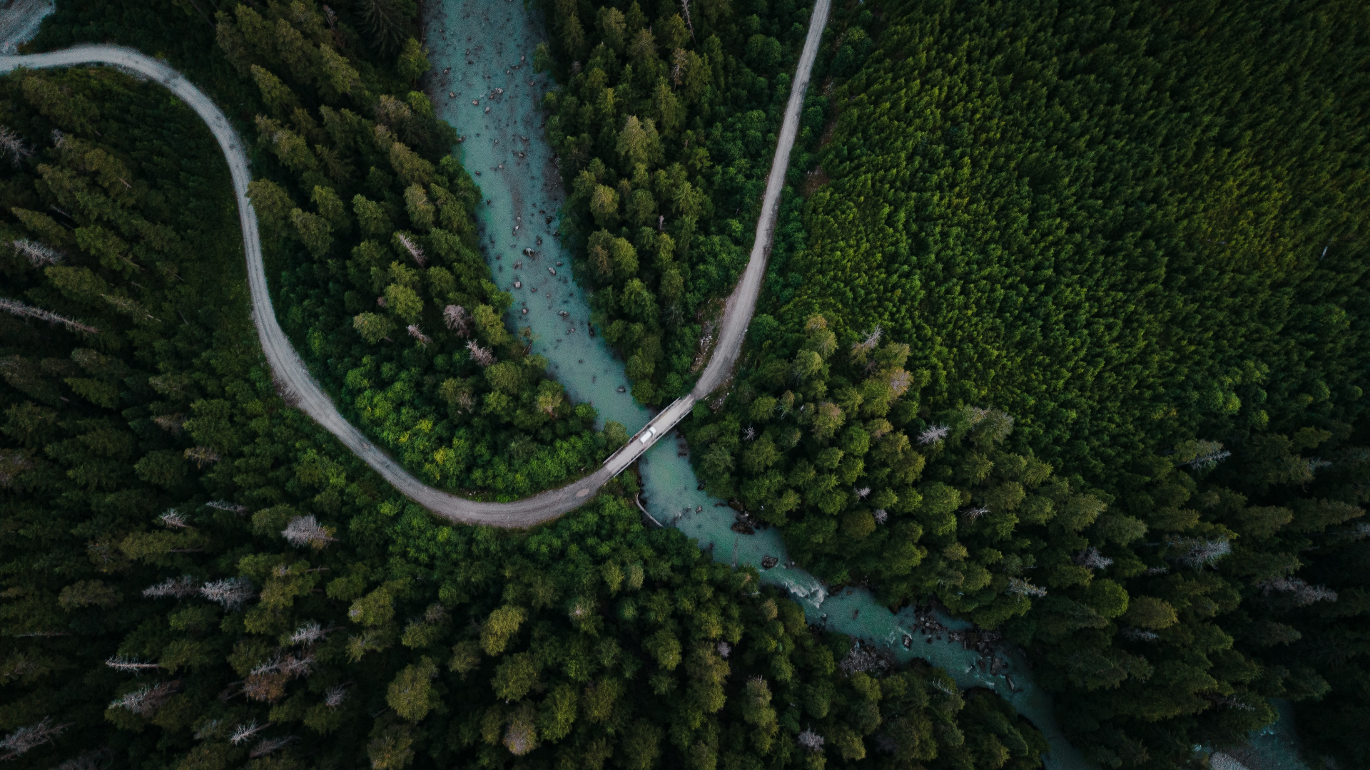 Wallpaper, nature, trees, river, forest, rocks, aerial view, drone photo, Canada 1920x1080