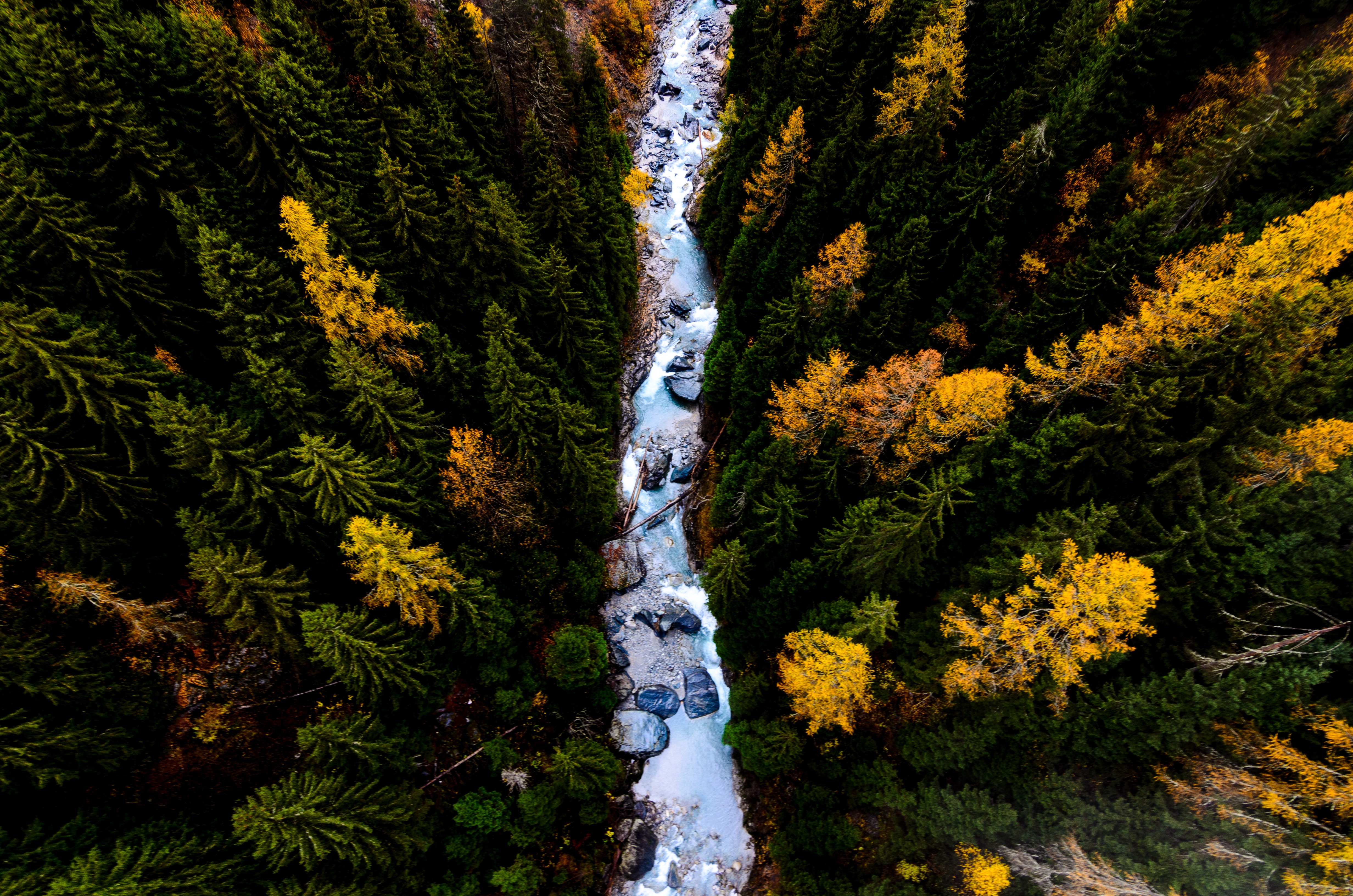 4928x3264 #autumn, #switzerland, #Free , #pine, #drone view, #gom, #suisse, #forest, #walli, #river, #stream, #green, #gomsbridge, #valai, #yellow, #stone, #fall, #aerial view, #water, #alp, #creek. Mocah HD Wallpaper