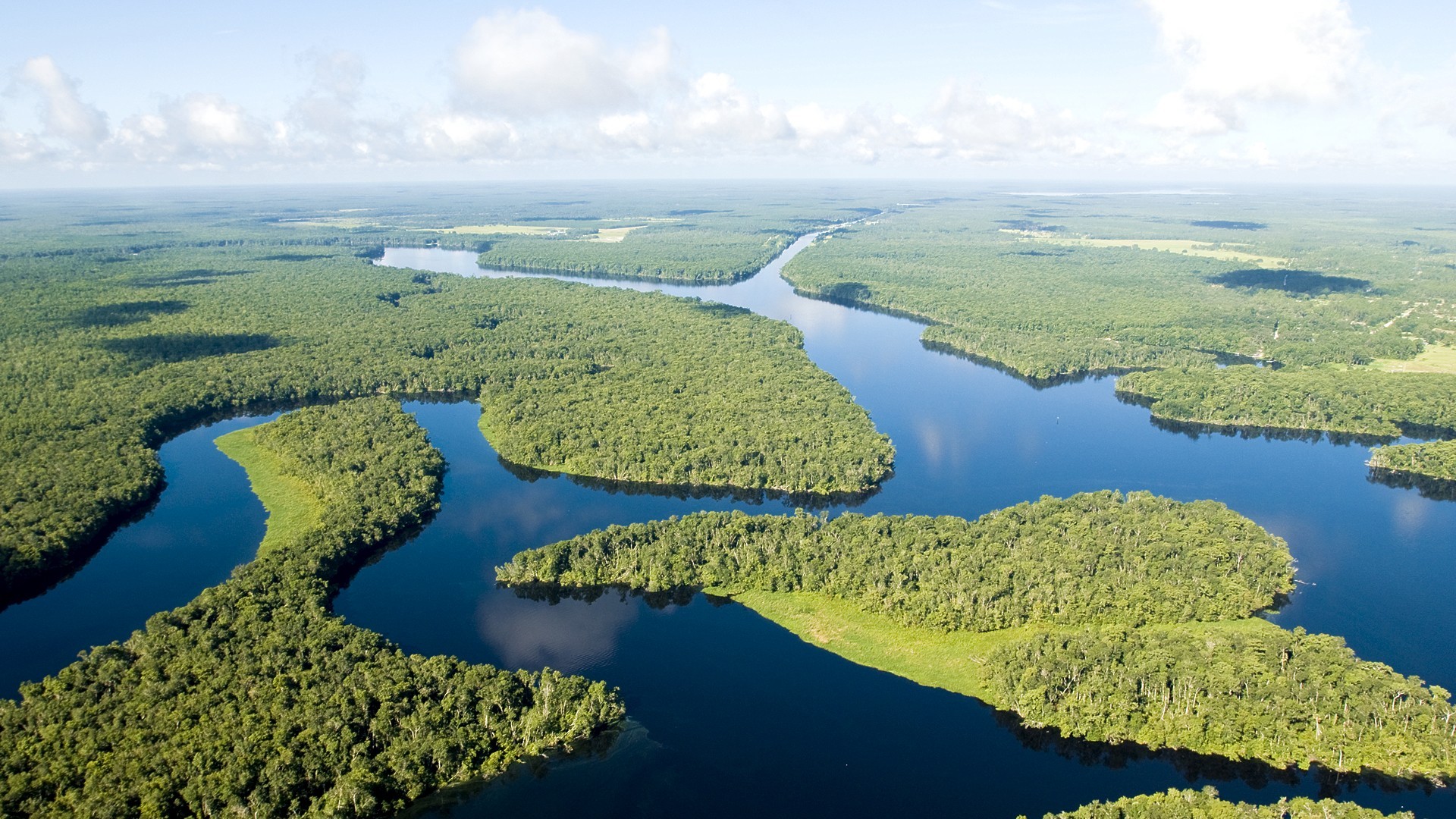 Amazon River Jungle Bright Blue Green Aerial View Wallpaper:1920x1080