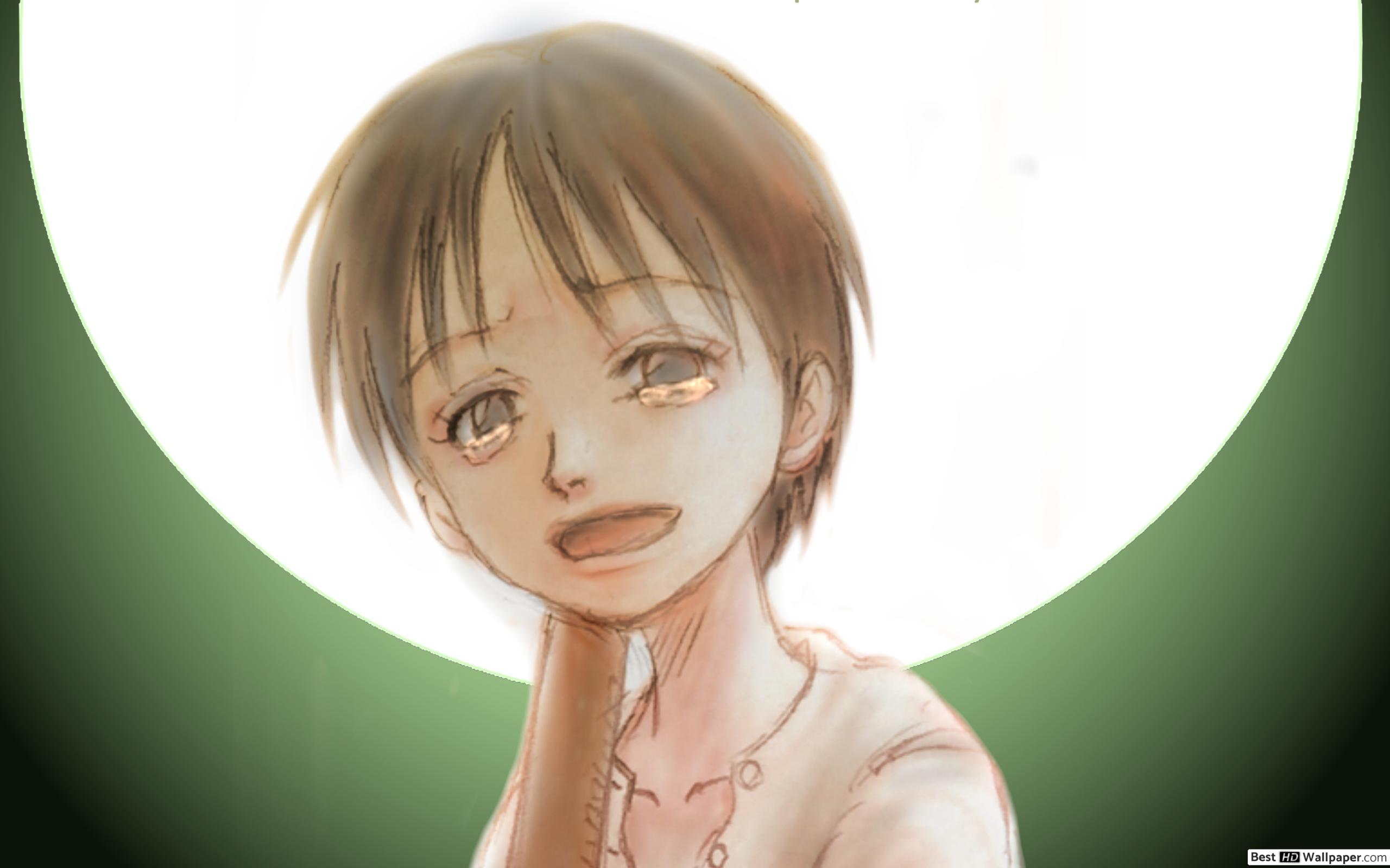 One Piece HD wallpaper download