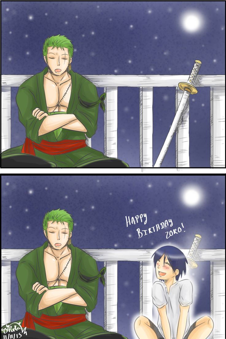zosan. One piece comic, One piece anime, Roronoa zoro