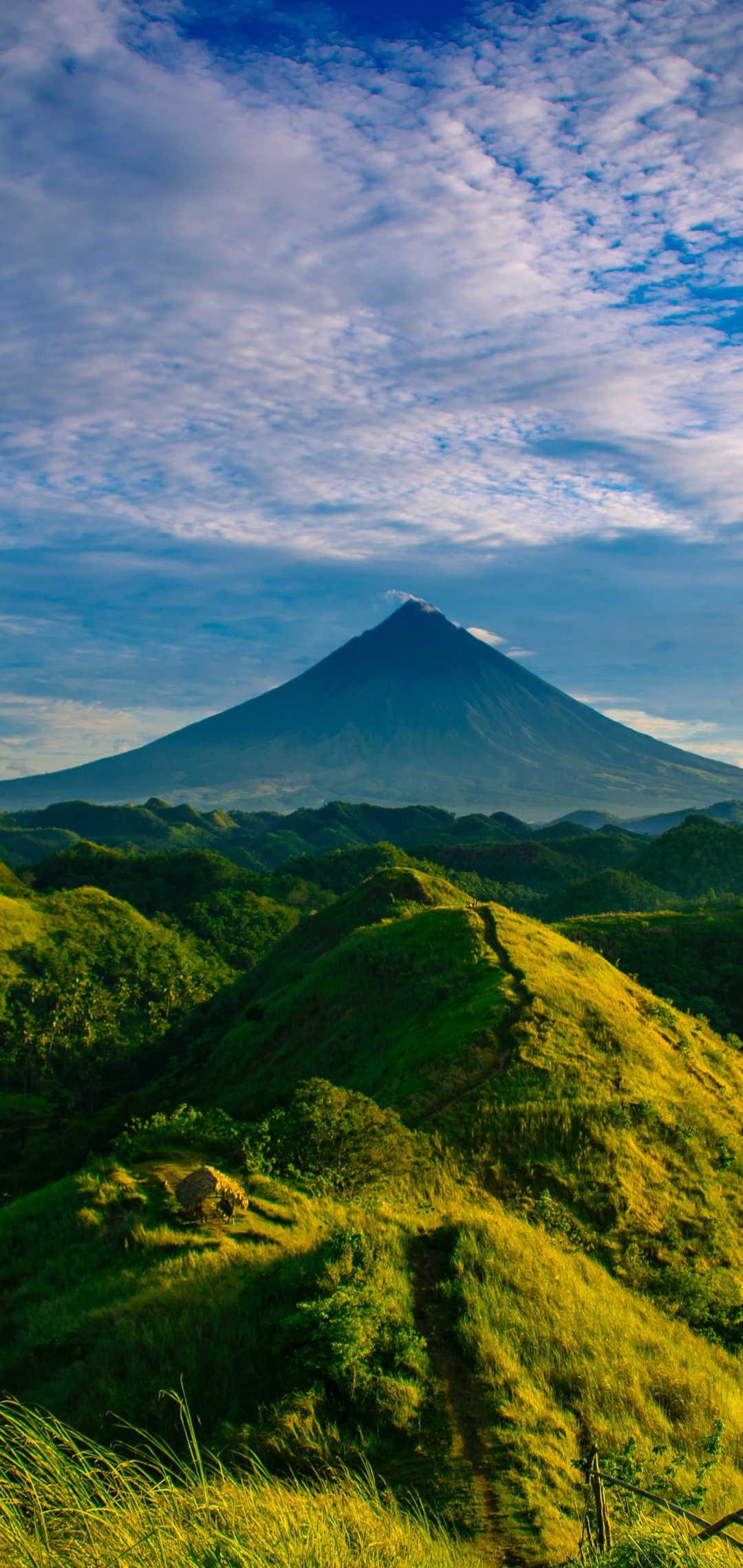 Vivo Nature Wallpaper HD