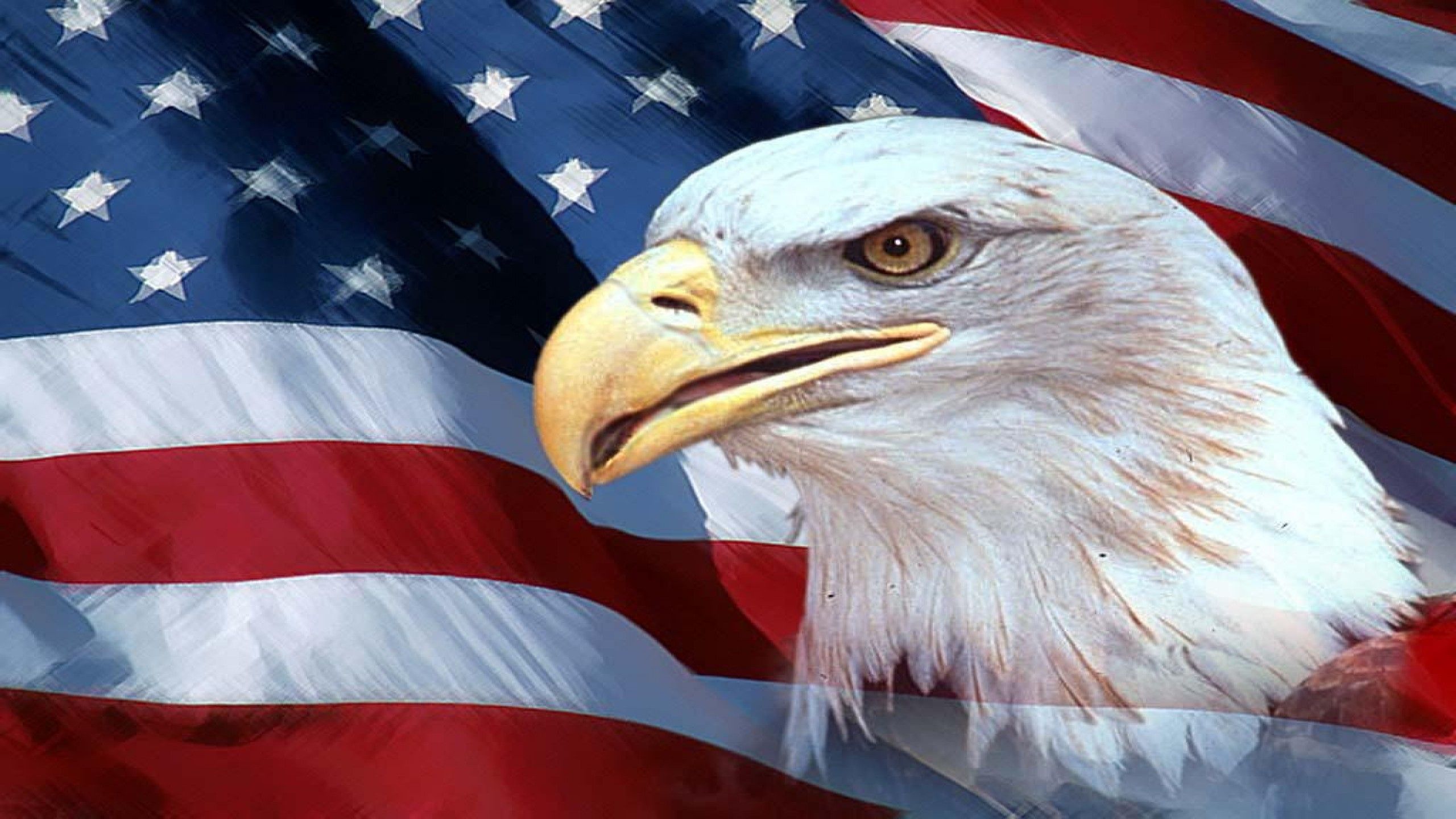 American Flag Eagles Wallpaper Free American Flag Eagles Background