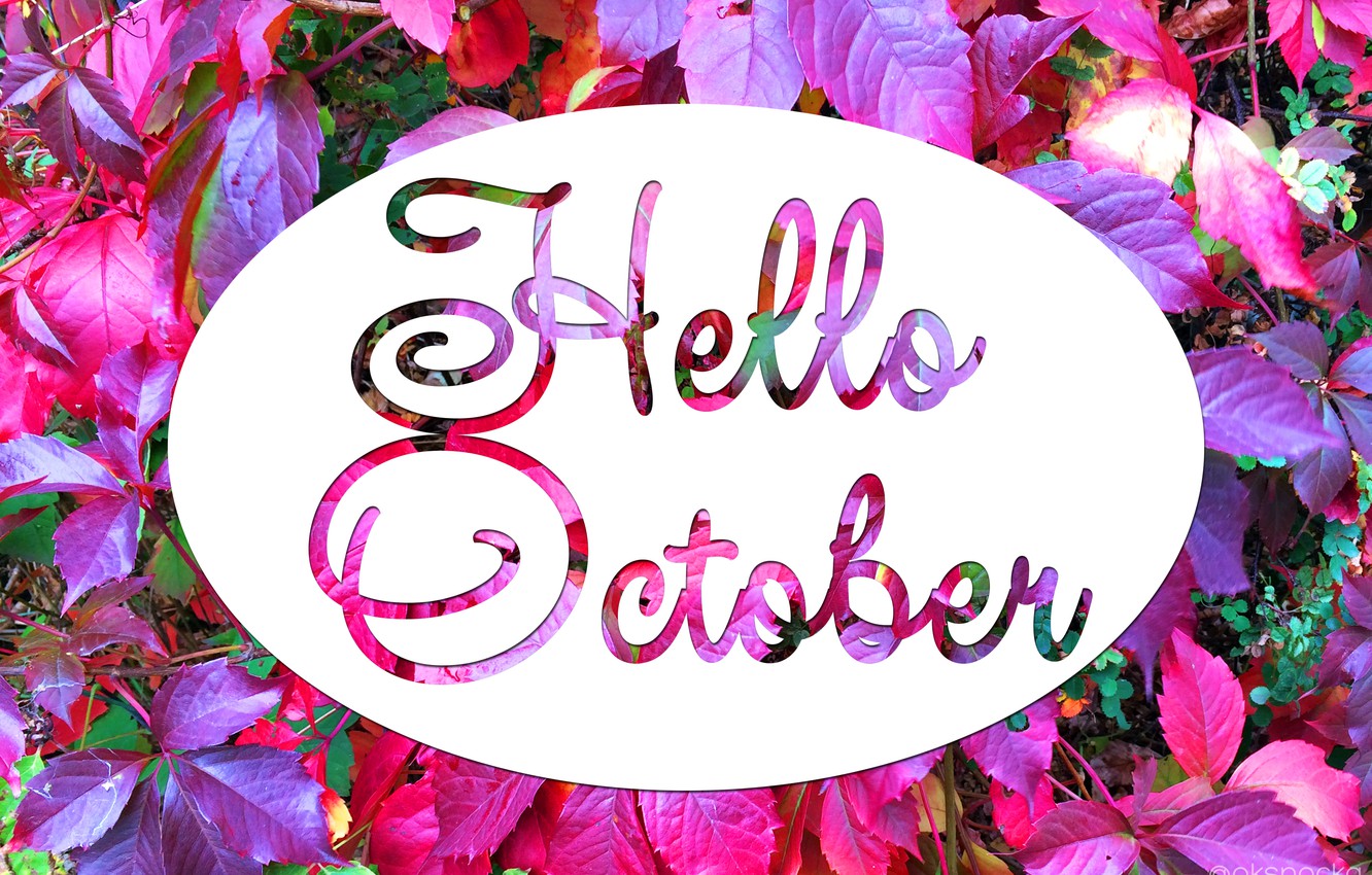 Wallpaper autumn, October, Hello October image for desktop, section природа