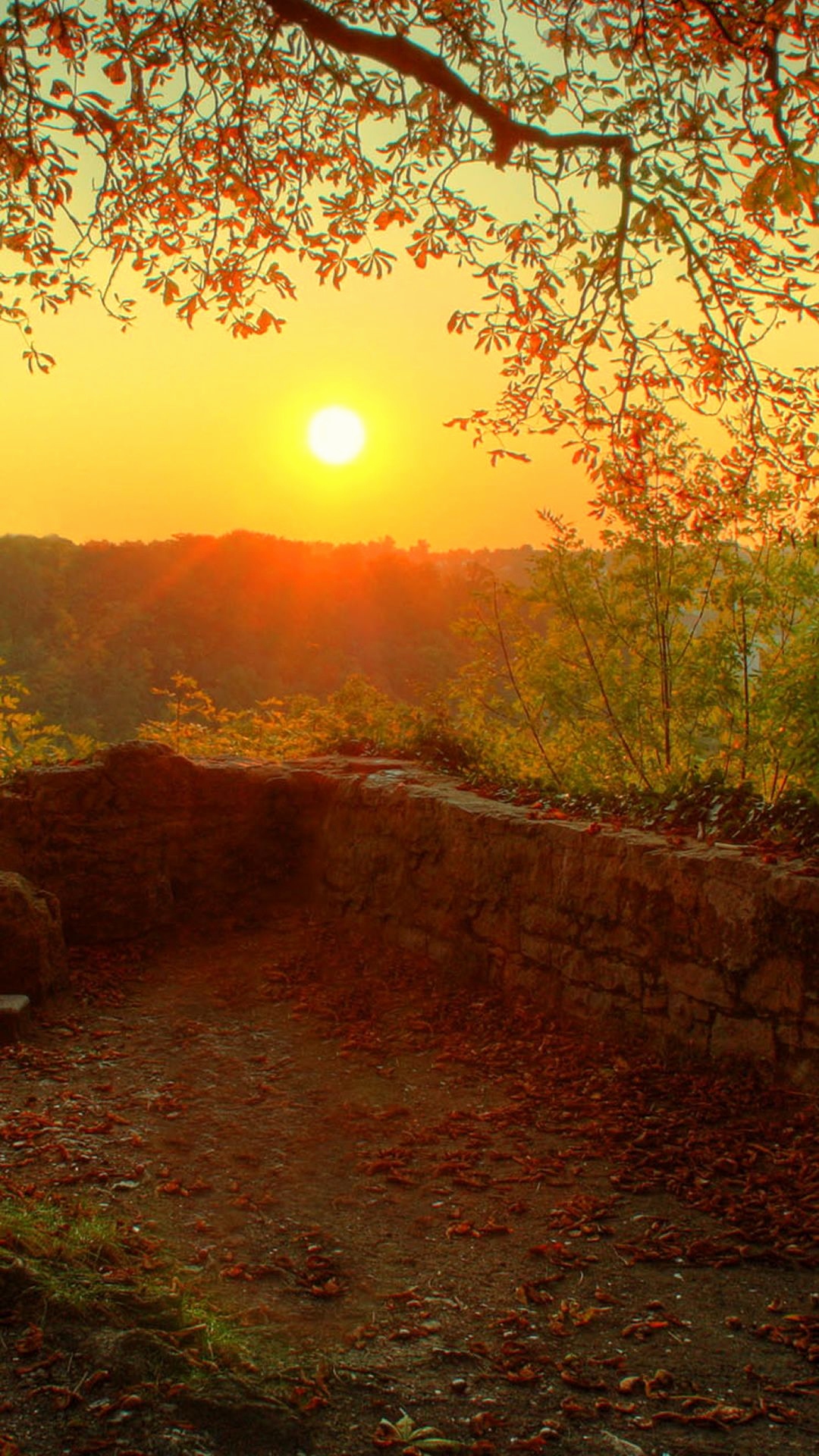 Hello October Birthday Month HD Wallpaper