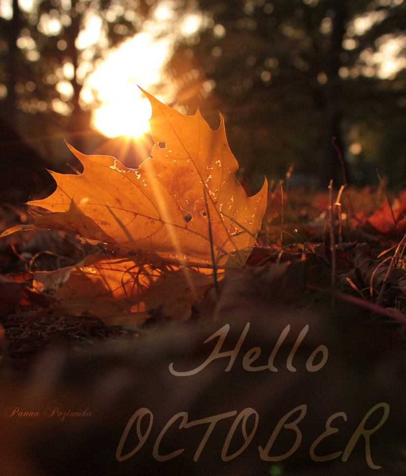 Hello October Quotes. QuotesGram