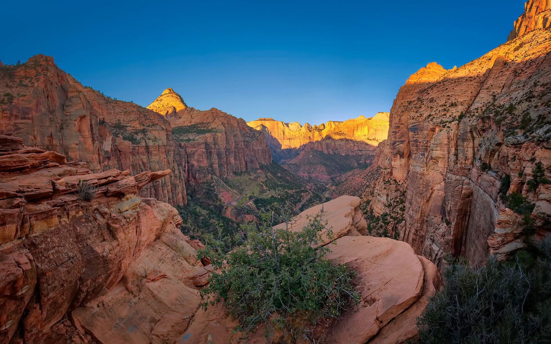 Download wallpaper Zion National Park, canoyn, cliffs, desert, mountains, Springdale, Utah, beautiful nature, USA, America, american landmarks for desktop with resolution 1920x1200. High Quality HD picture wallpaper