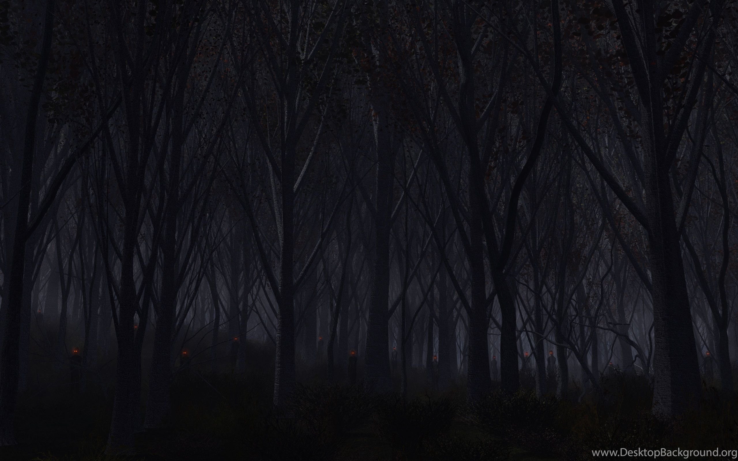 Haunted Forest Wallpaper Desktop Background