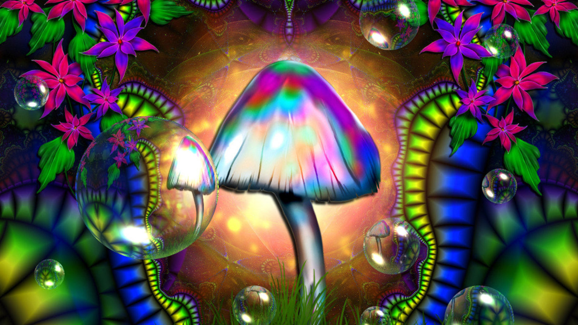 Colorful Bubble Mushroom HD Trippy Wallpaper