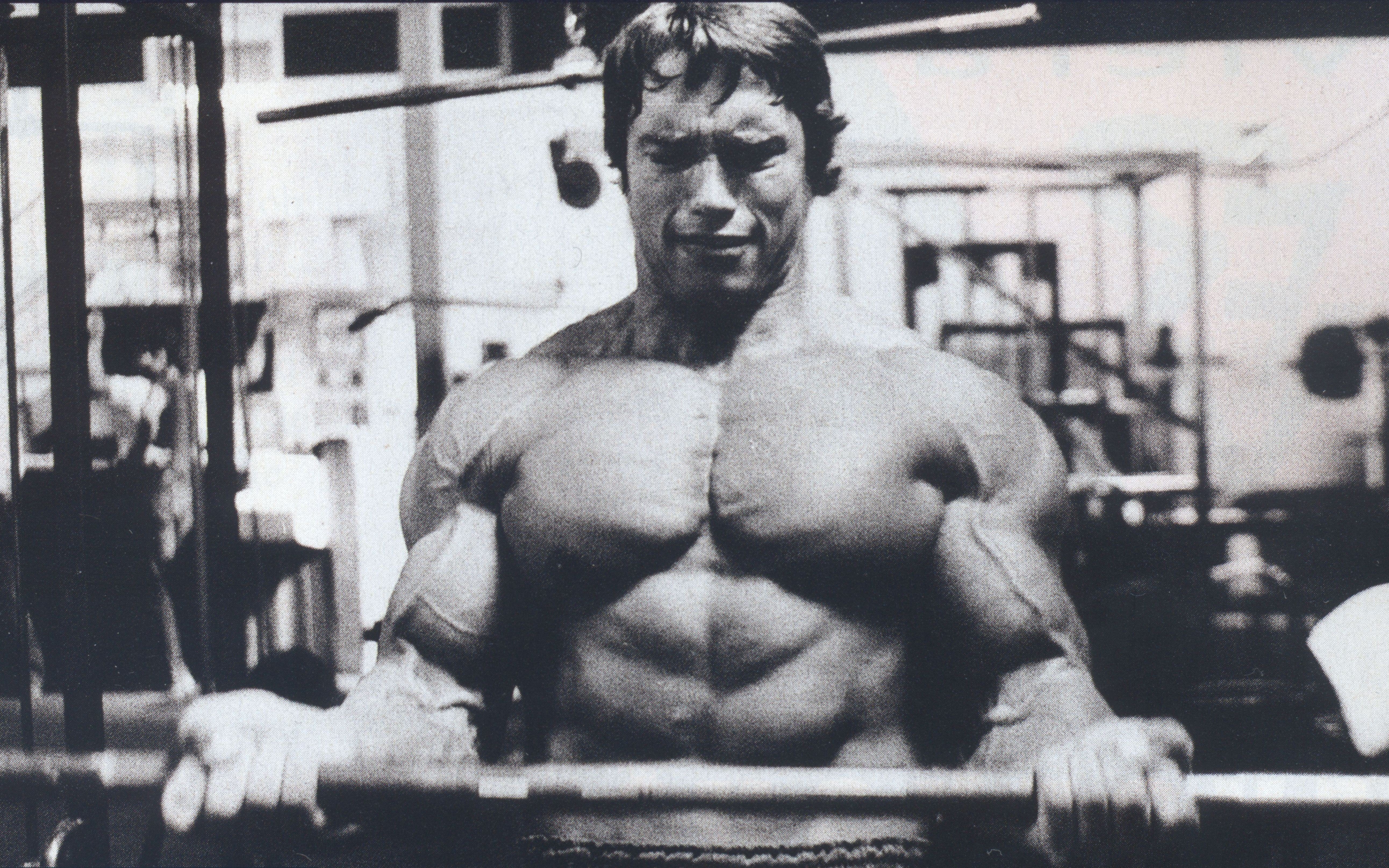 Wallpaper Schwarzenegger Gym Posters