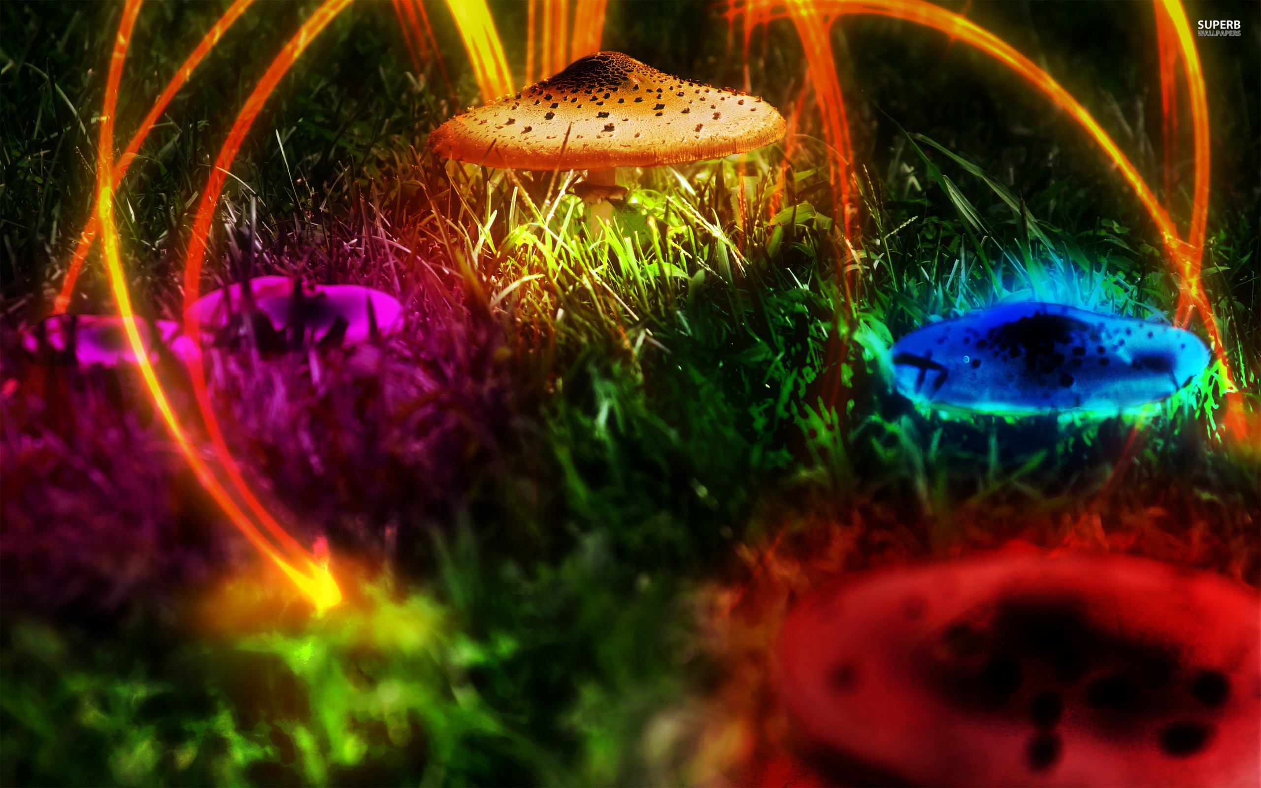 Wallpaper / psychedelic, mushroom, fantasy art, colorful