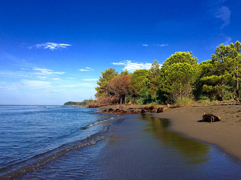 Plazhi i Velipojes, ne zonen e derdhjes se