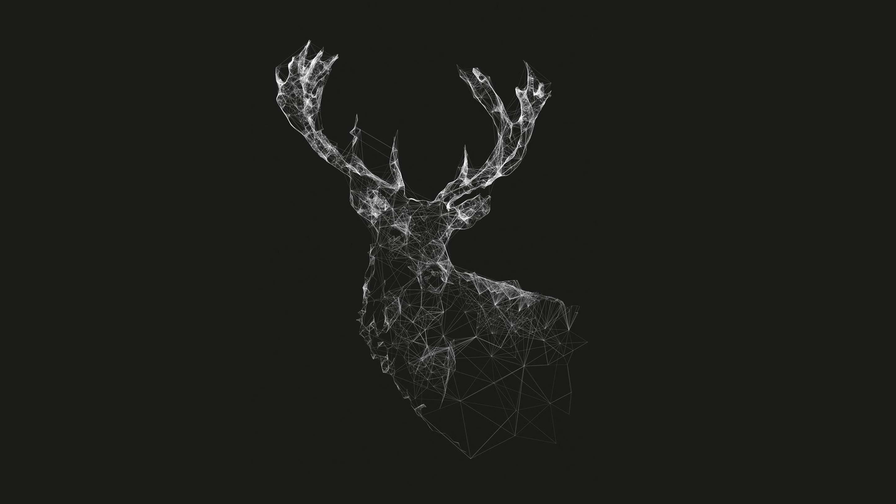 Wireframe Deer Head Graphic Design HD Wallpaper. Deer artwork, Deer sketch, Digital wallpaper