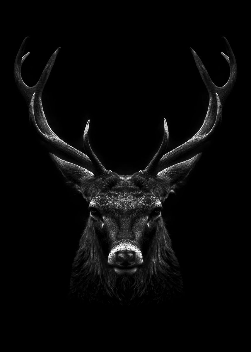 black deer head poster ' Poster