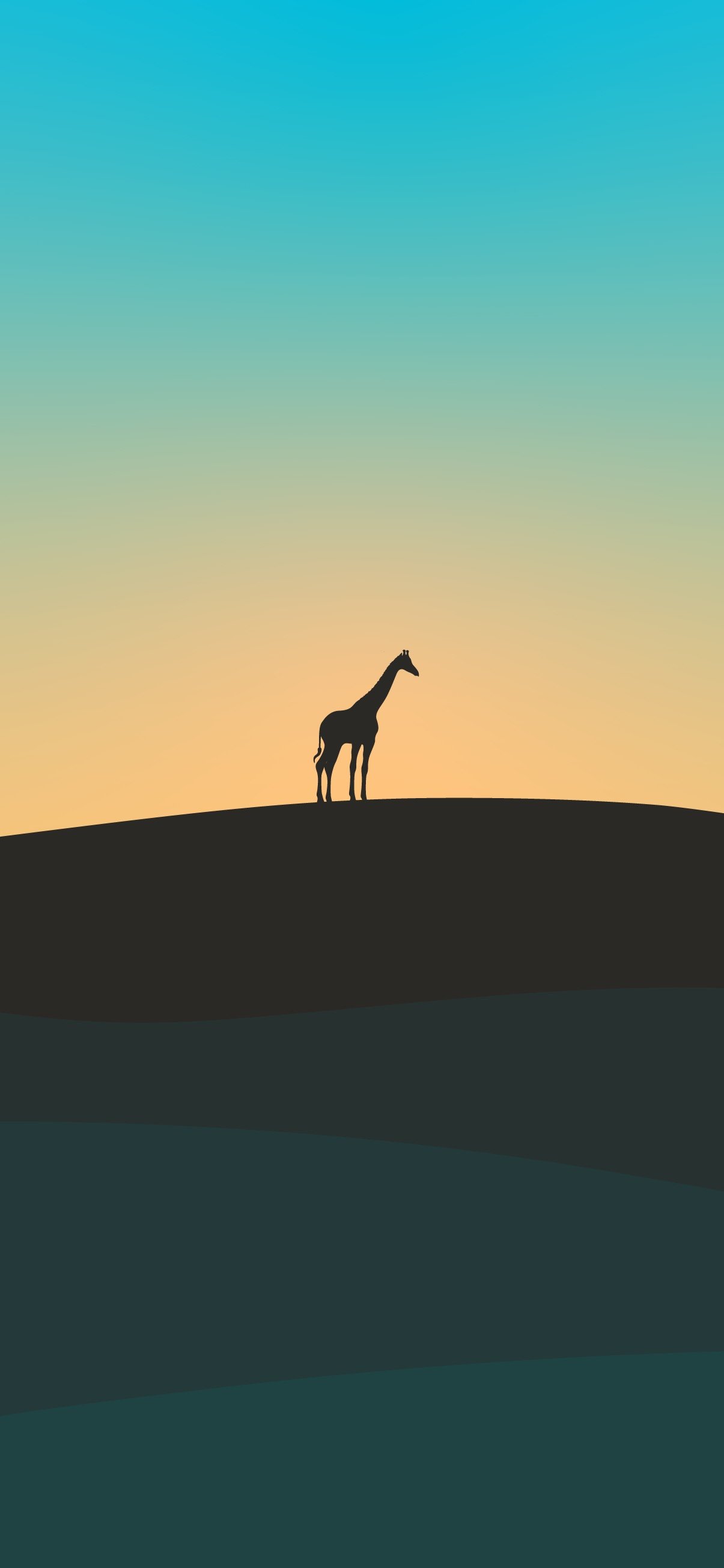 Wallpaper Giraffe Images  Free Photos PNG Stickers Wallpapers   Backgrounds  rawpixel