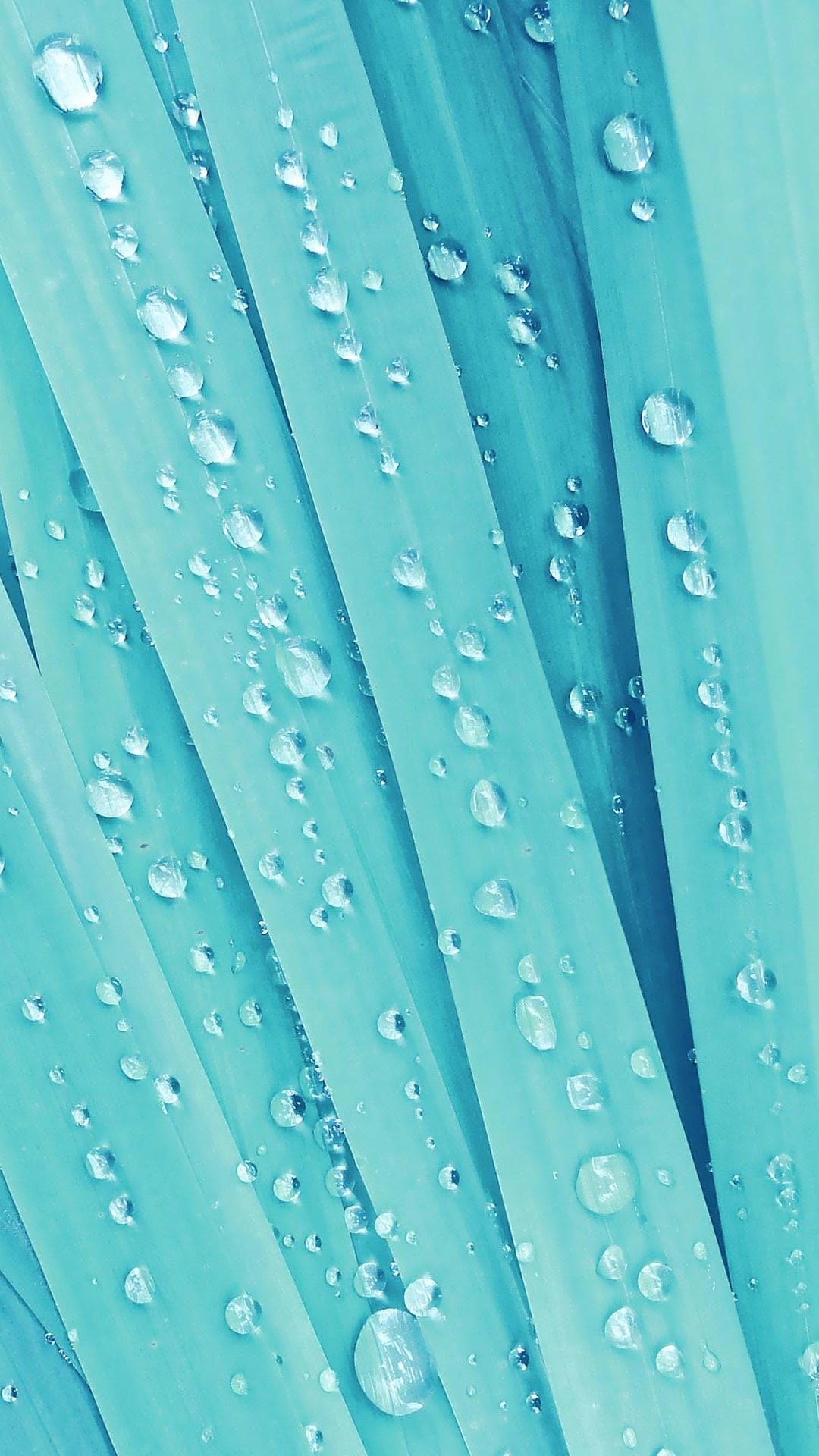 Water Drops Htc HD Wallpaper Data Src Cool Htc Wallpaper Blue Wallpaper For Android HD Wallpaper