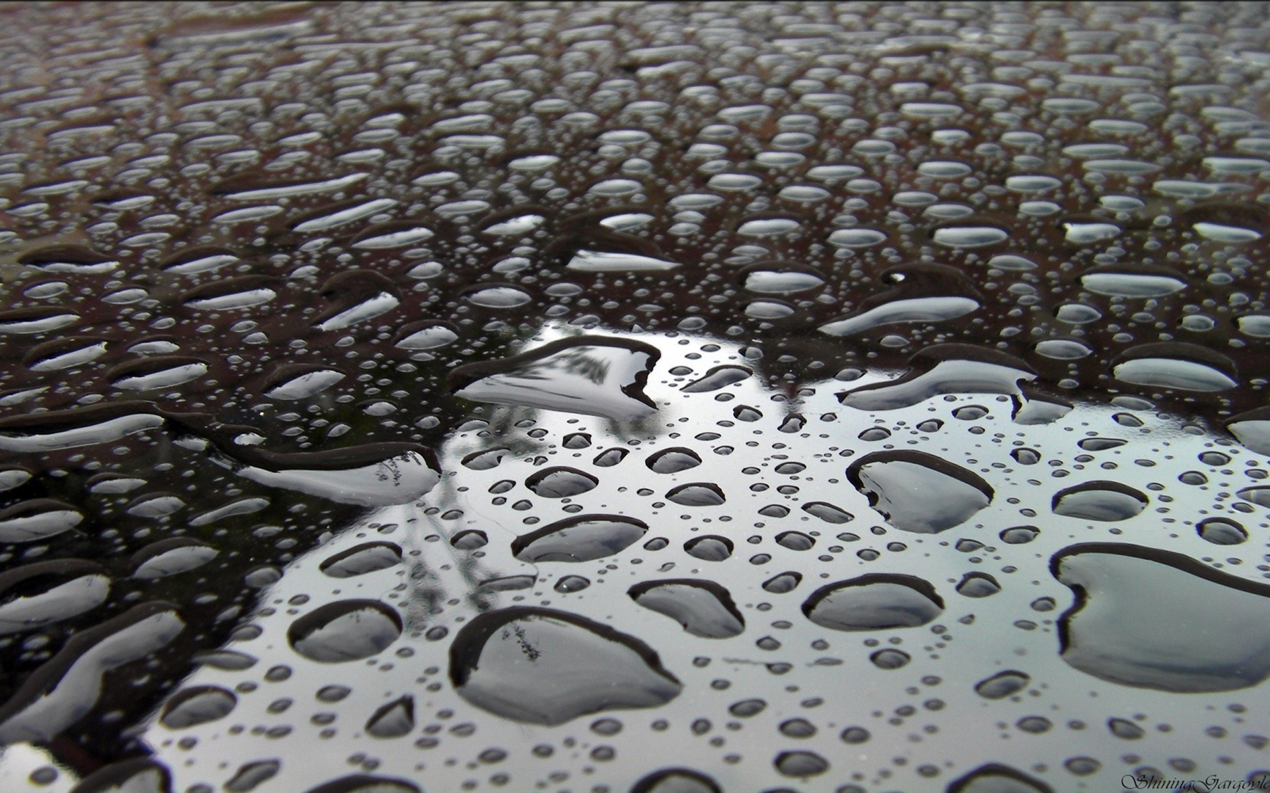 Condensation Rain Raindrops Water Drops Best Widescreen Background Desktop HD Wallpaper 13, Wallpaper13.com