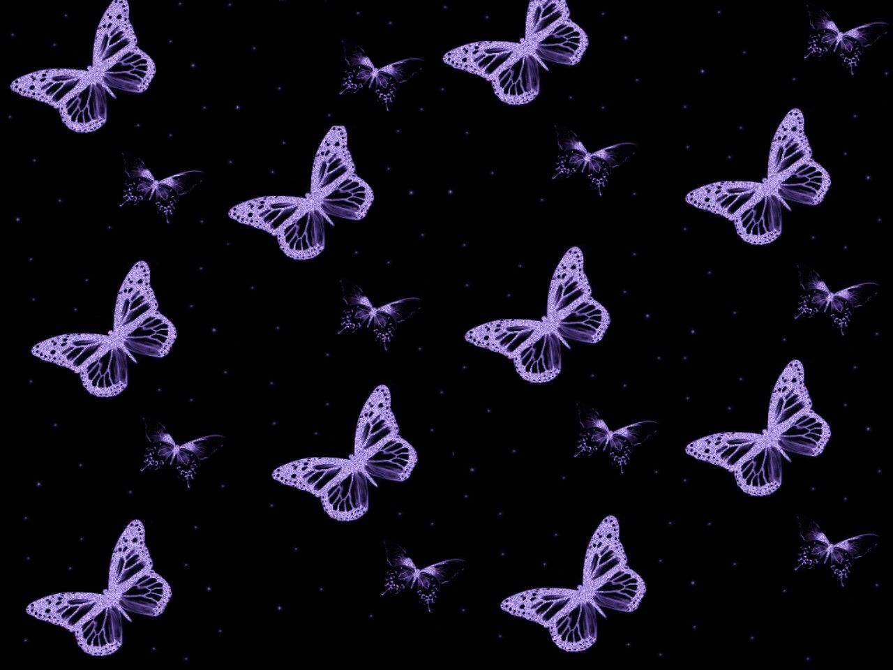 Black and Purple Butterflies Wallpaper
