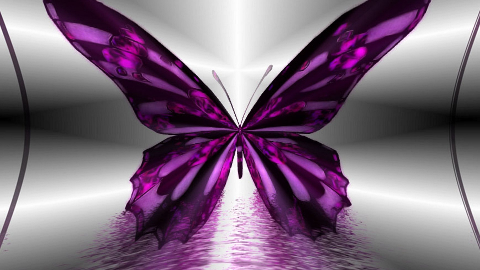 Desktop Wallpaper Purple Butterfly Cute Wallpaper