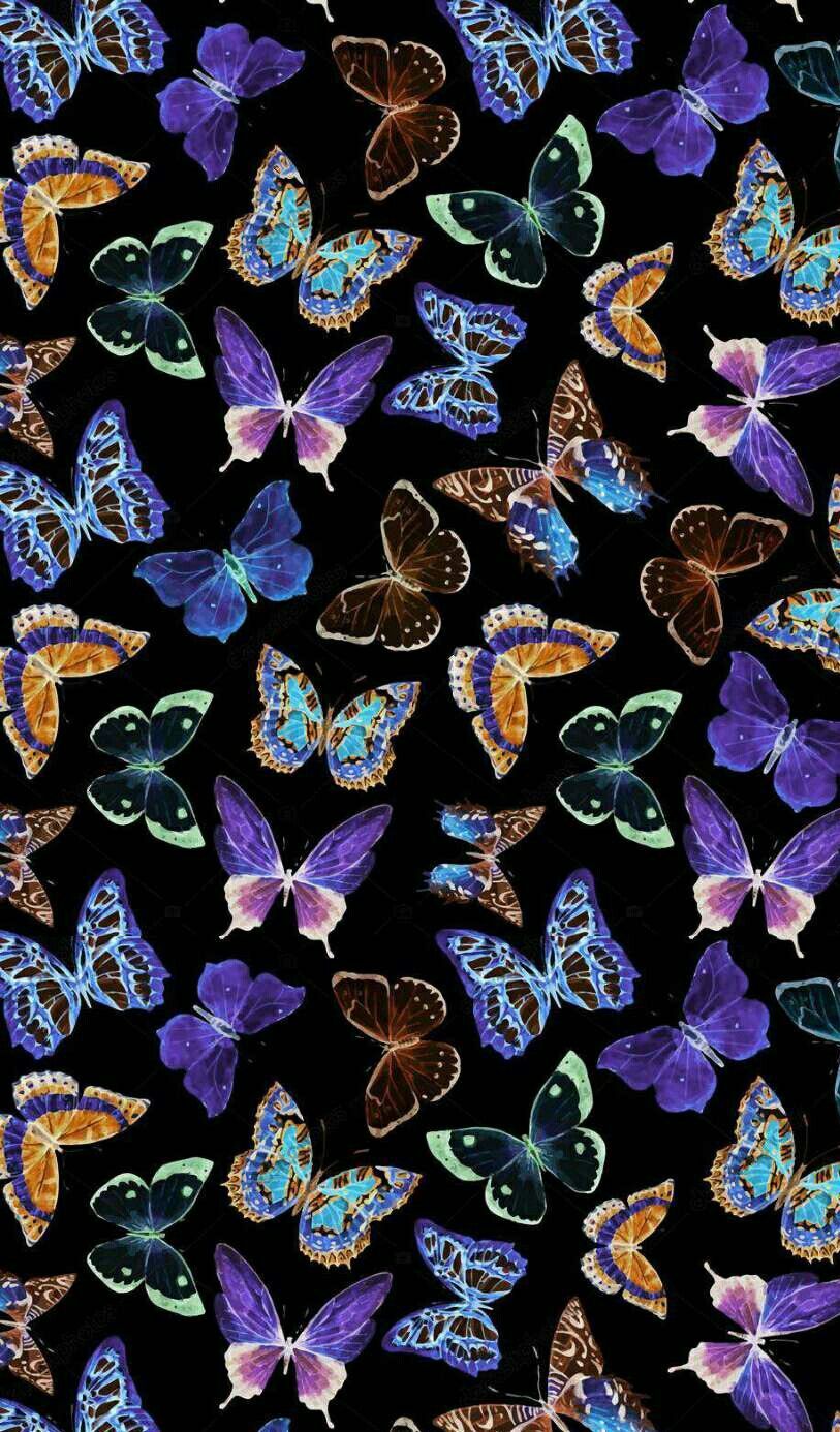 Aesthetic Butterfly Wallpaper 2020