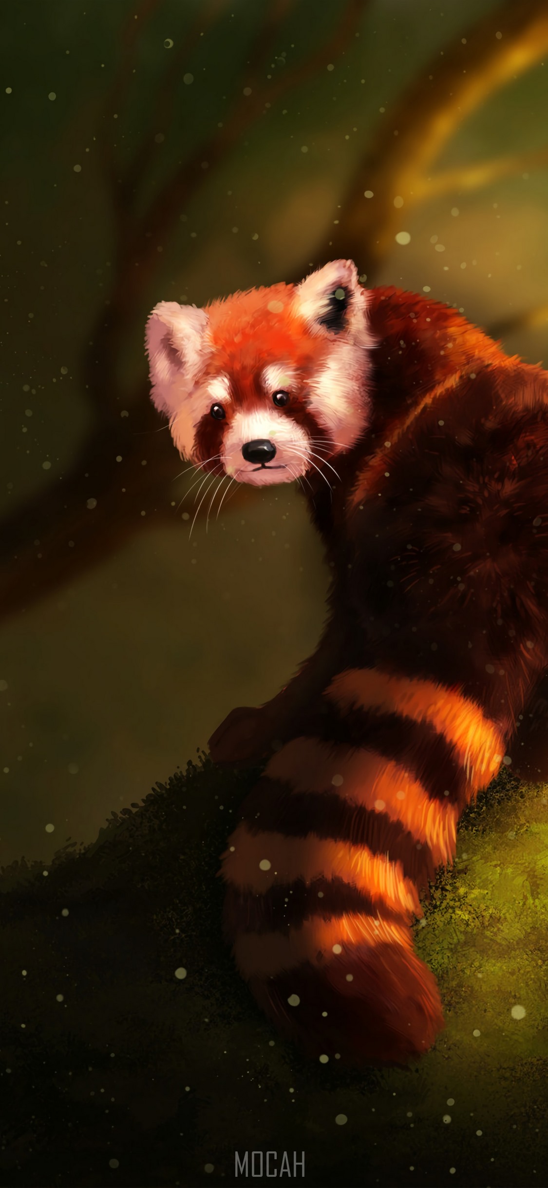Red Panda, Giant Panda, Painting, Terrestrial Animal, Snout, Apple iPhone X HD download, 1125x2436. Mocah HD Wallpaper