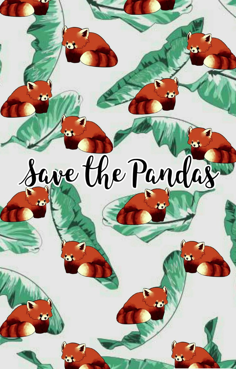 Cute Wallpaper, Red Panda, And Tumblr Image Panda Wallpaper Cartoon